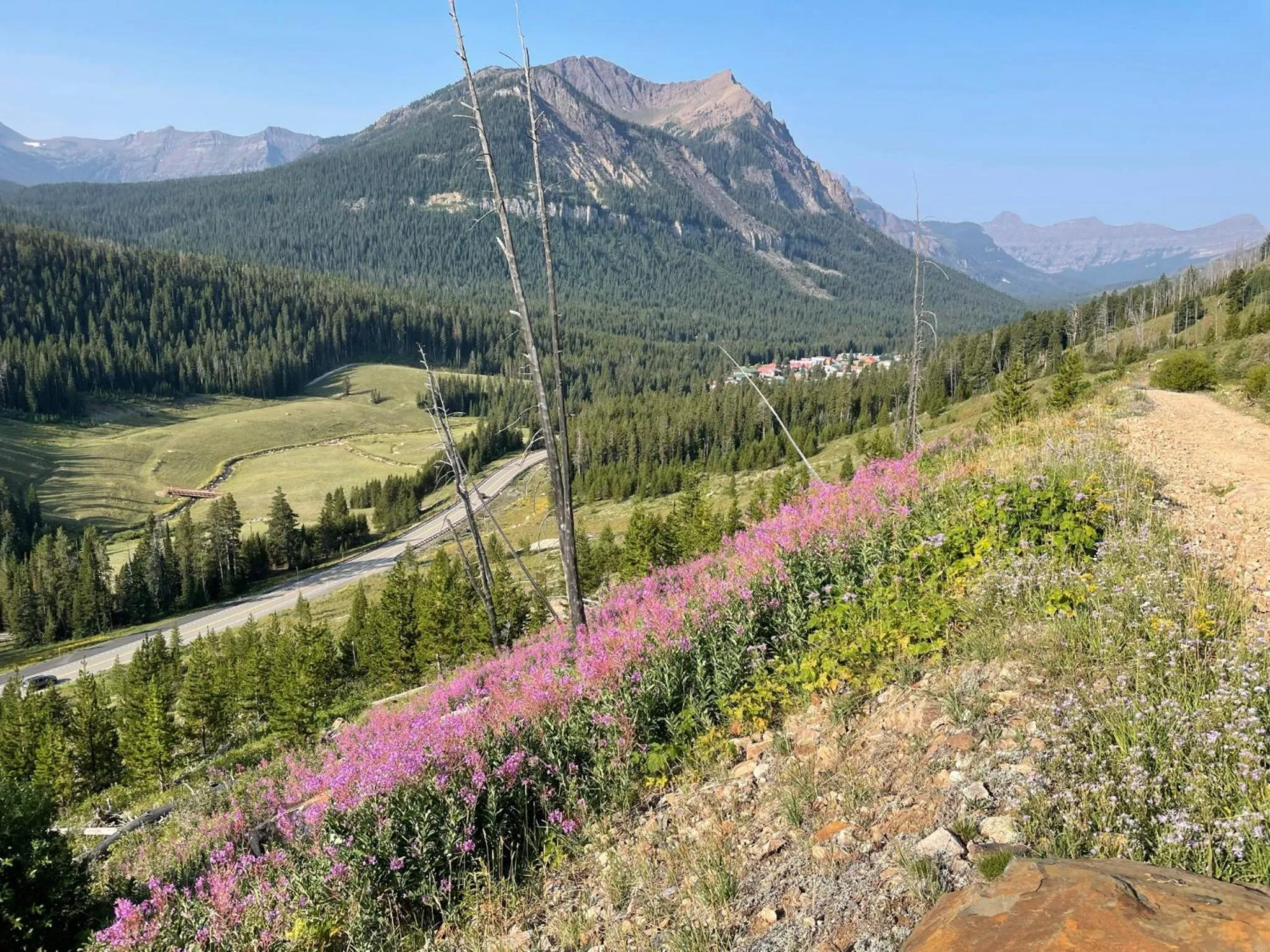 Mountain view in Antlers Lodge