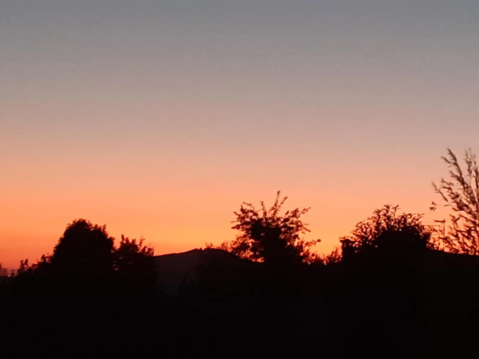 Alla tana del bianconiglio