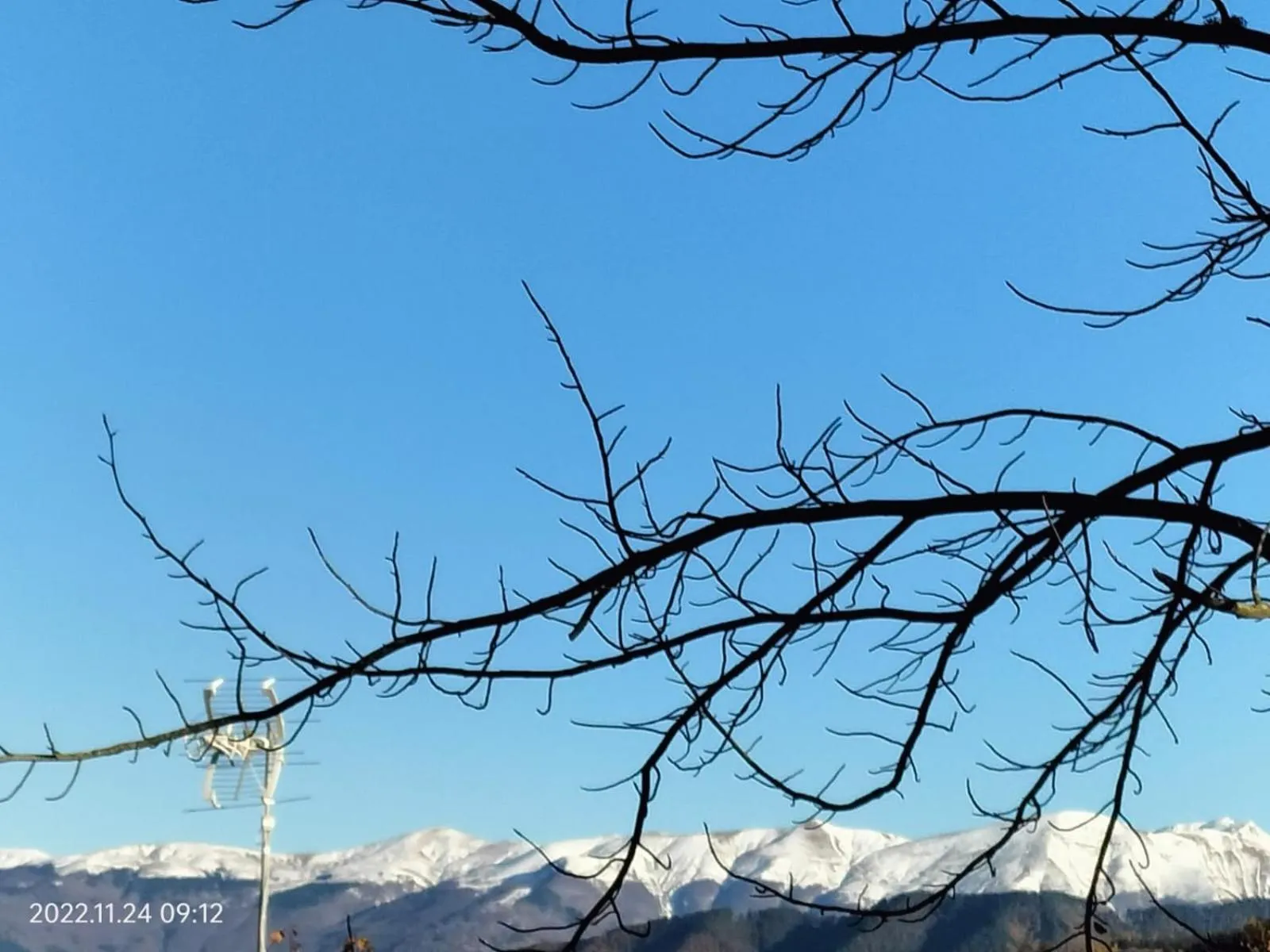 Alla tana del bianconiglio