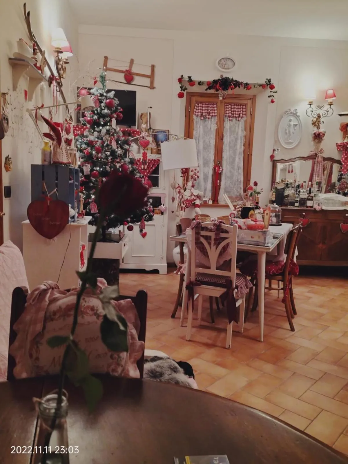 Alla tana del bianconiglio