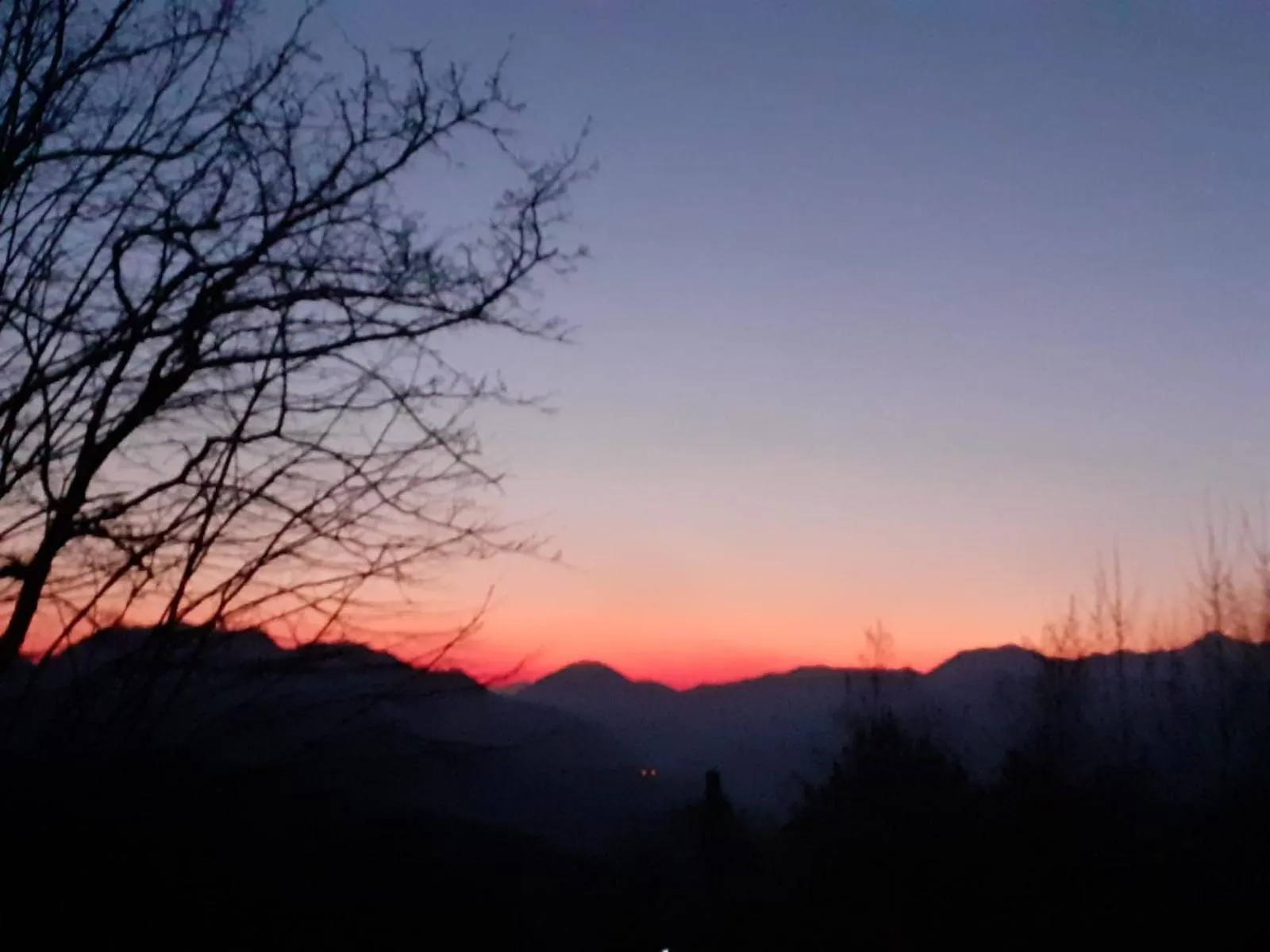 Alla tana del bianconiglio