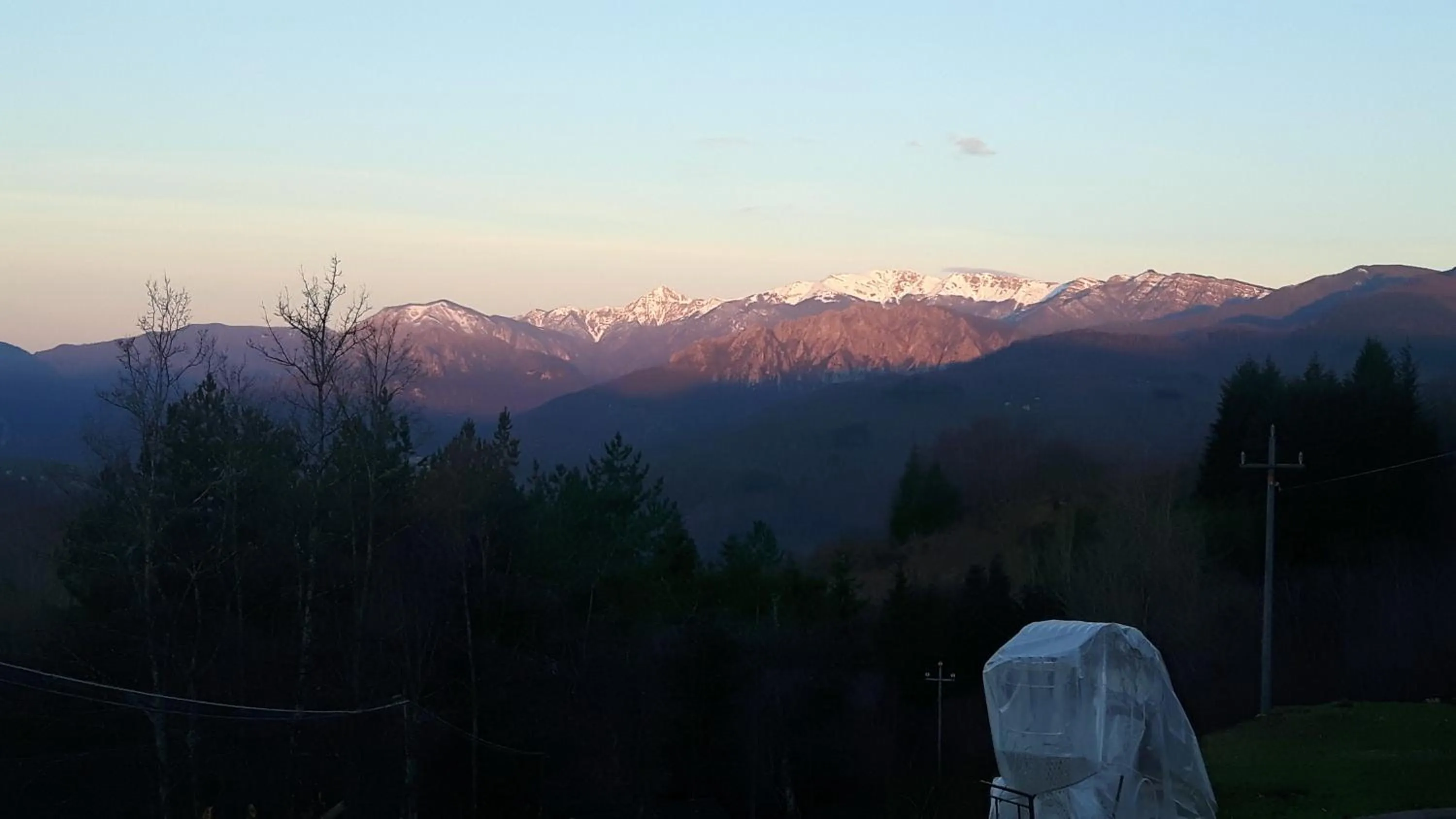 Alla tana del bianconiglio