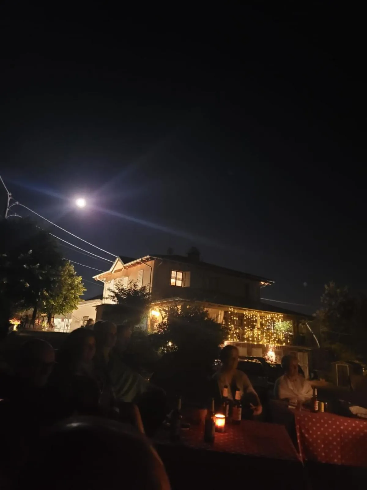 Alla tana del bianconiglio