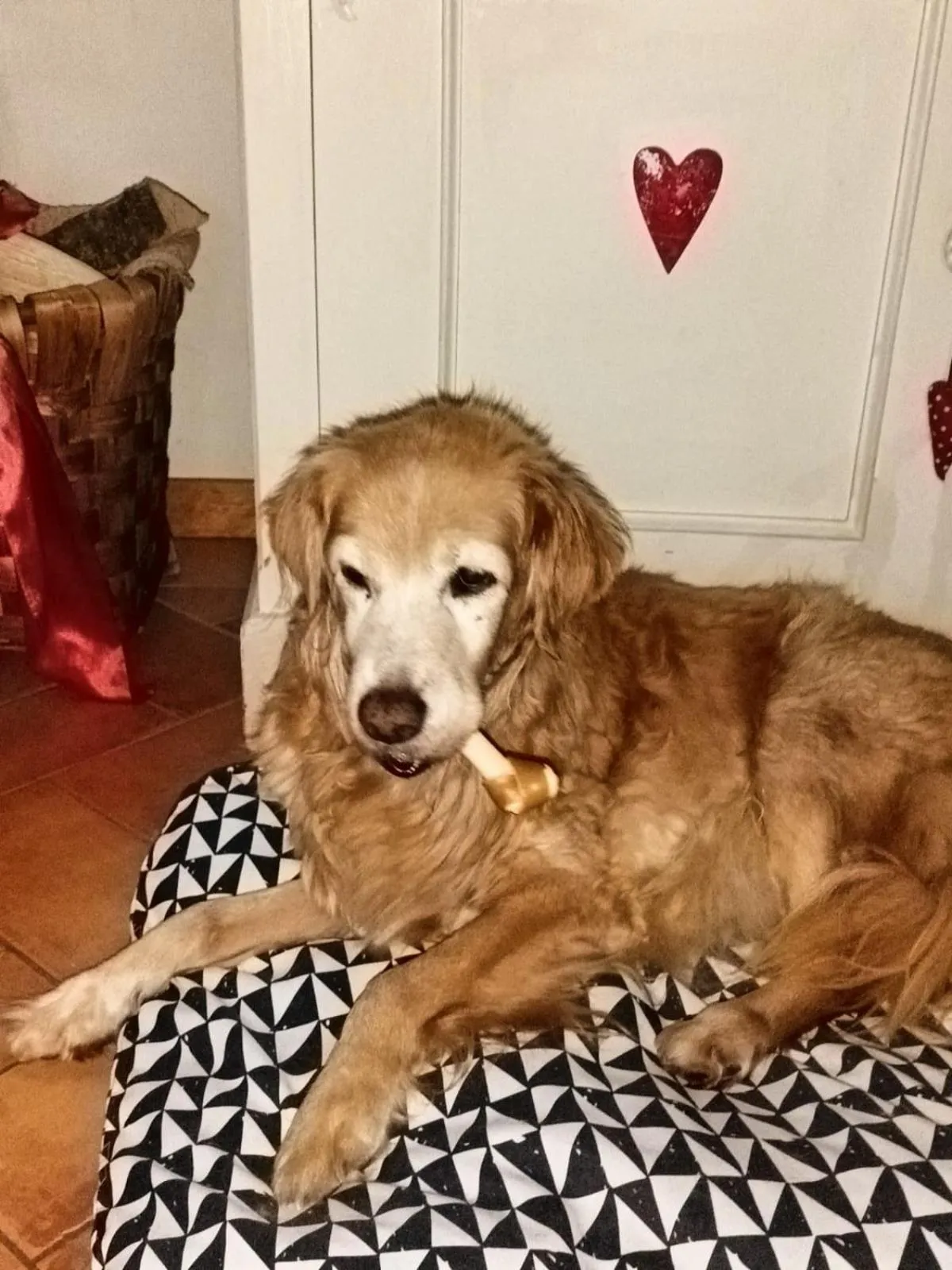 Alla tana del bianconiglio