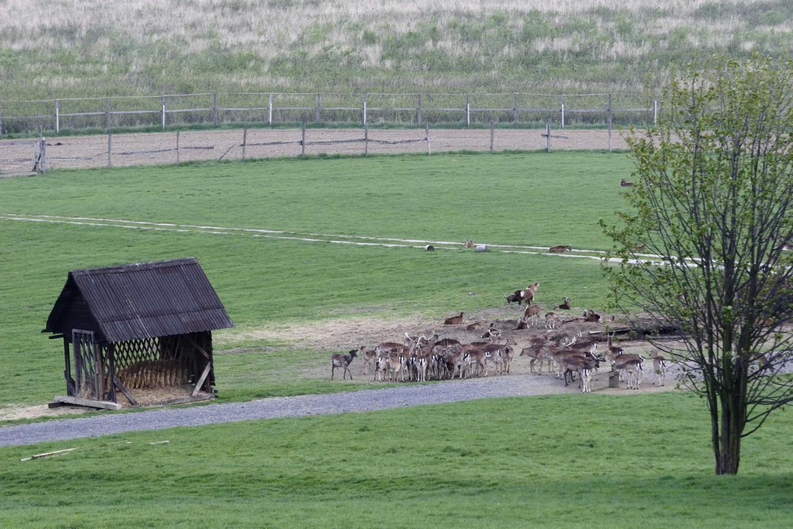 Nearby landmark in Wellness Hotel Diana