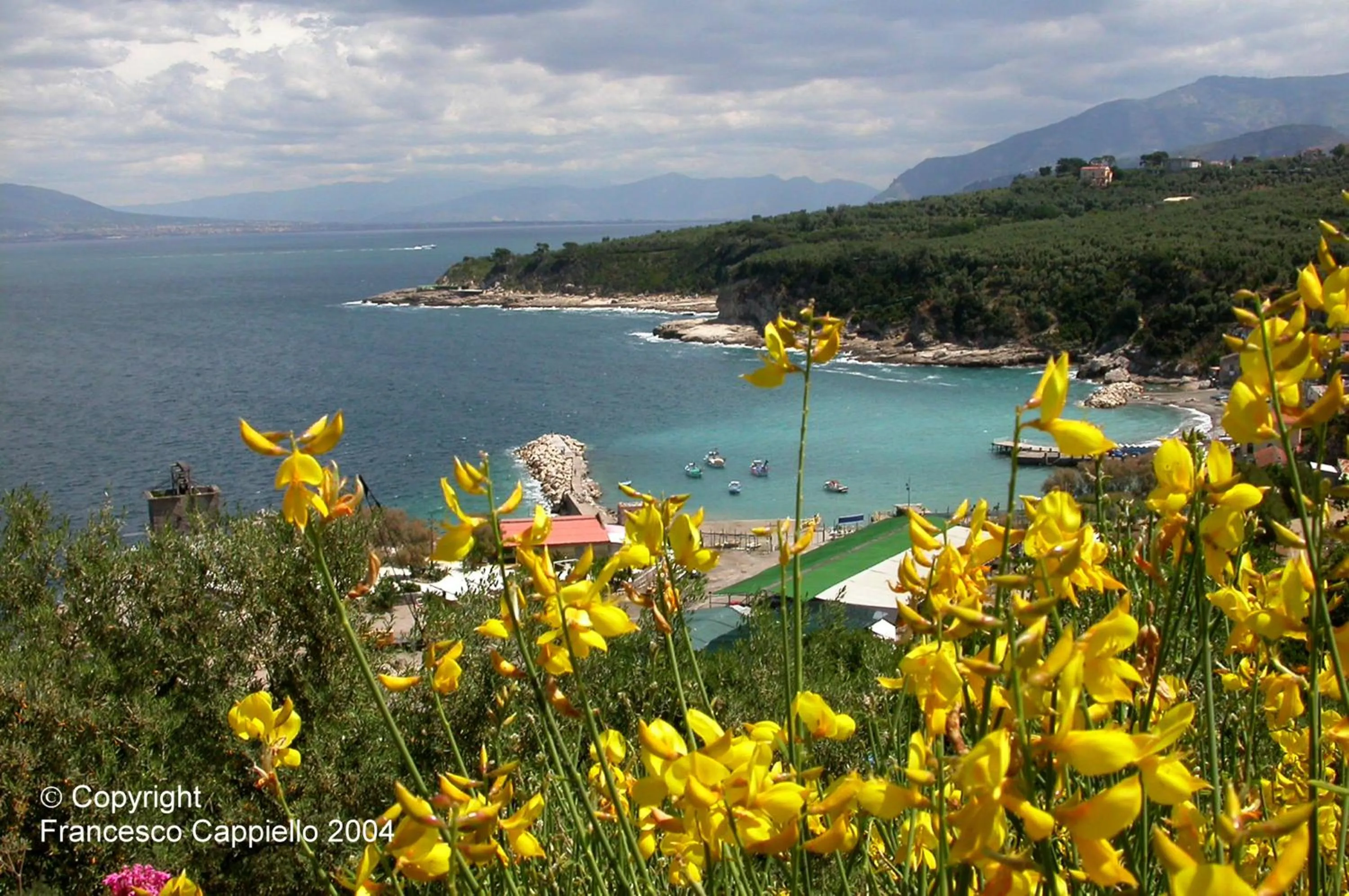 Area and facilities in Central Park