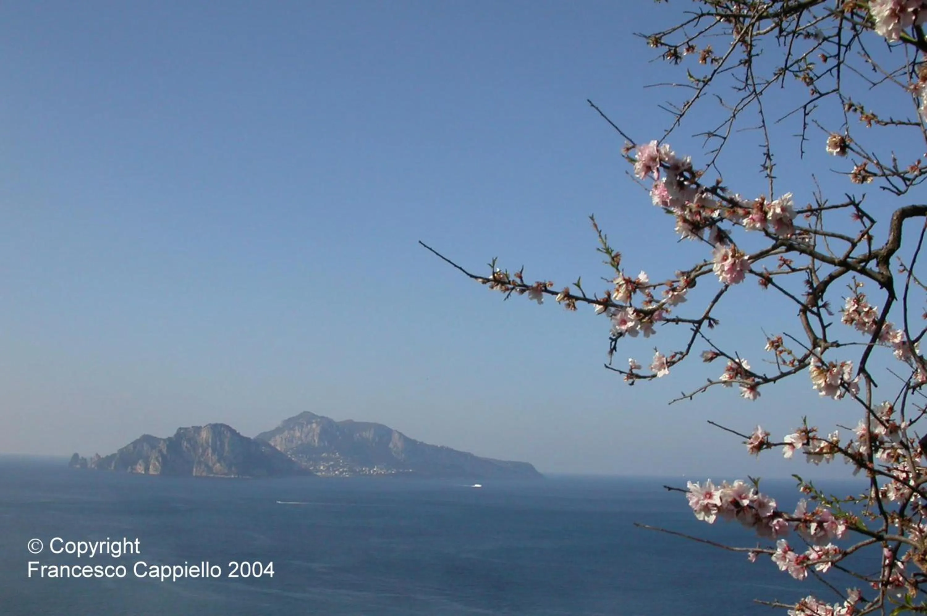 Area and facilities in Central Park