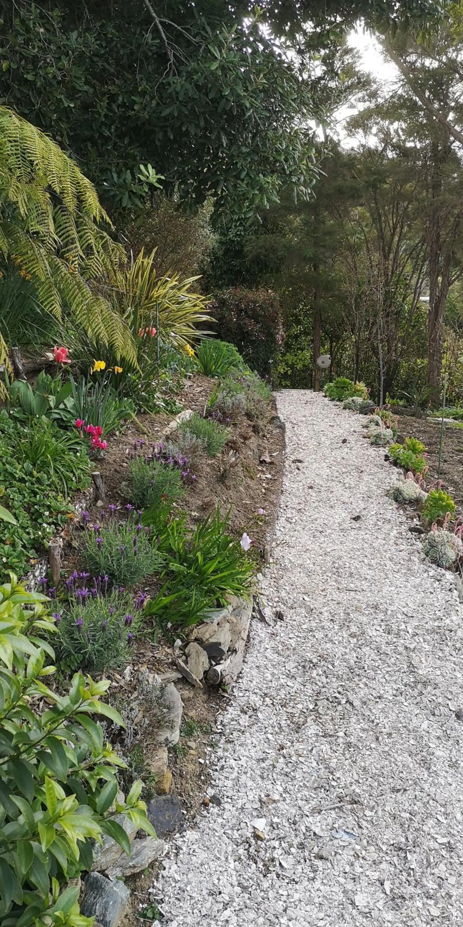 Garden in Moana Haven B&B