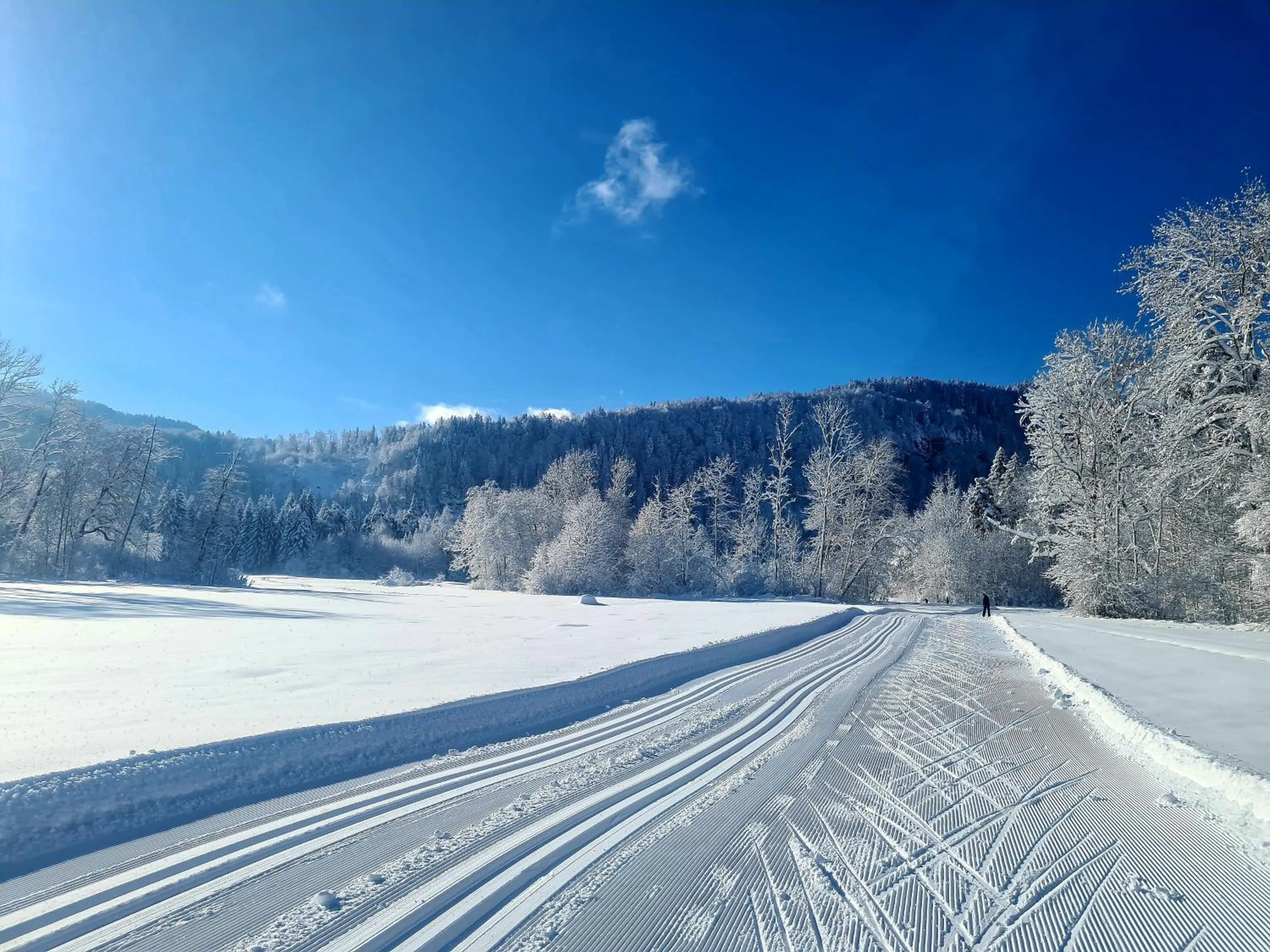 Winter in Hotel Filser