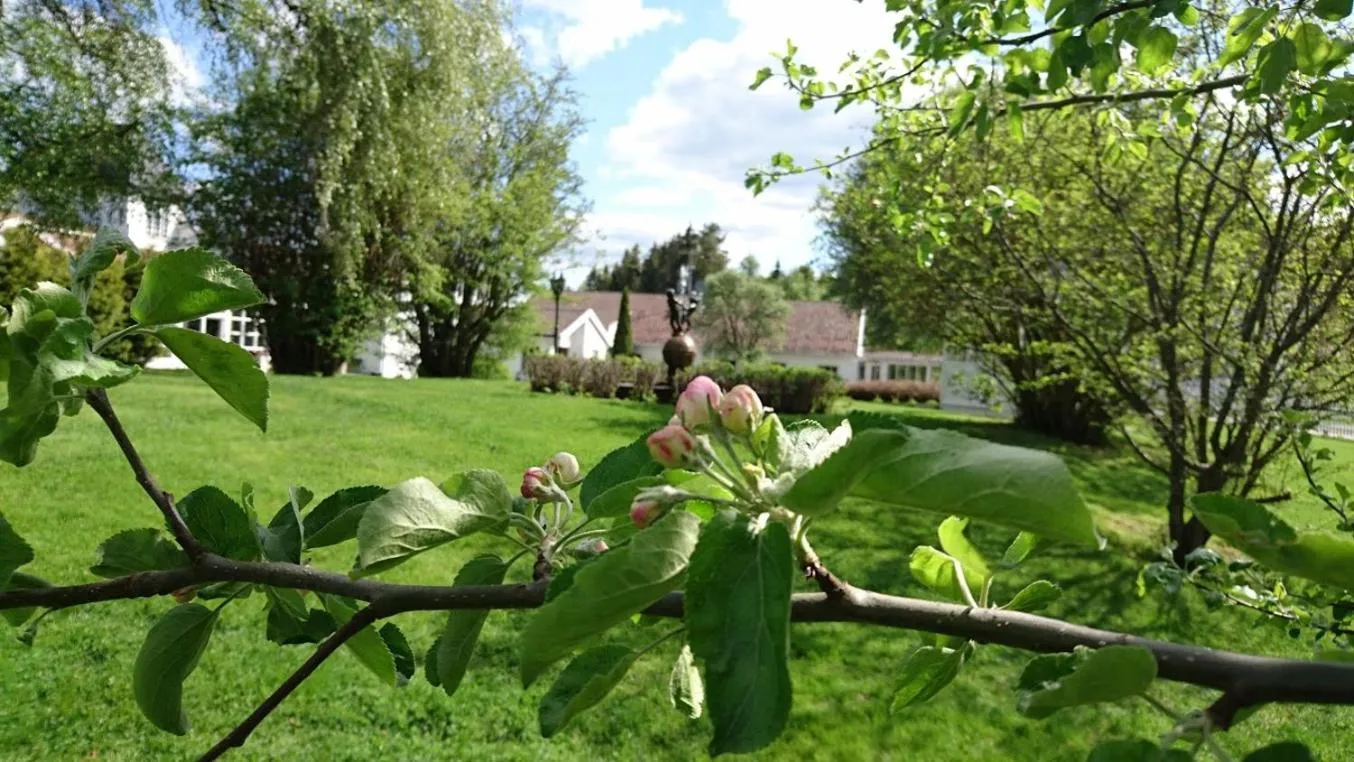 Garden view in Sanner Hotell