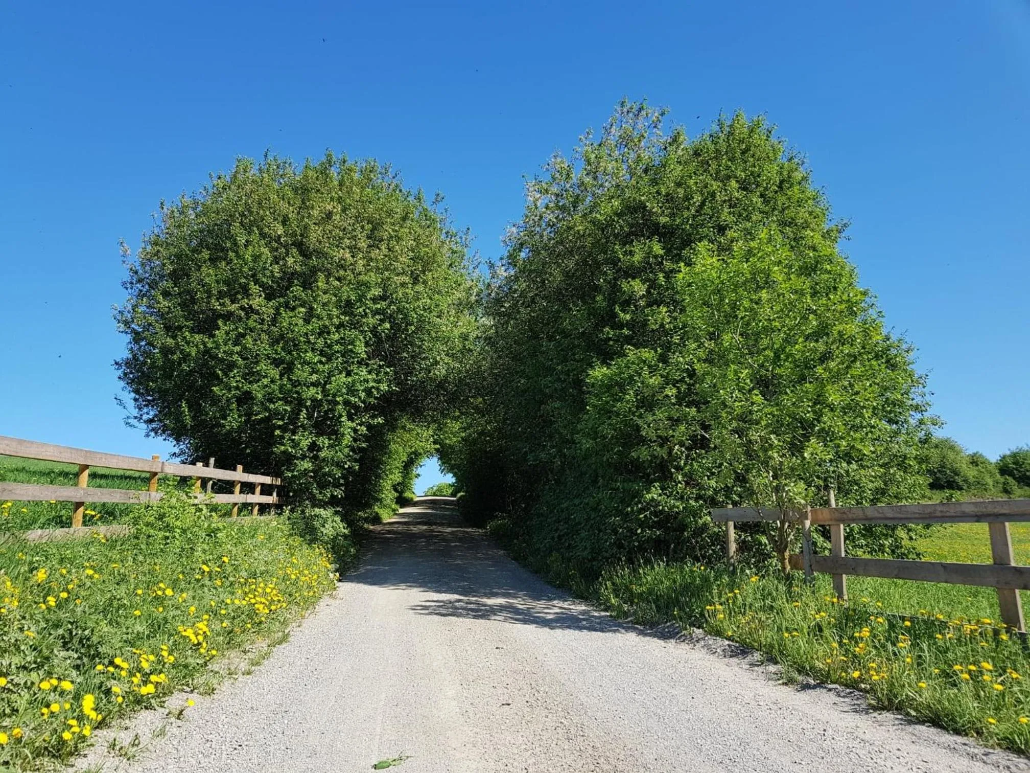 Natural landscape in Sanner Hotell