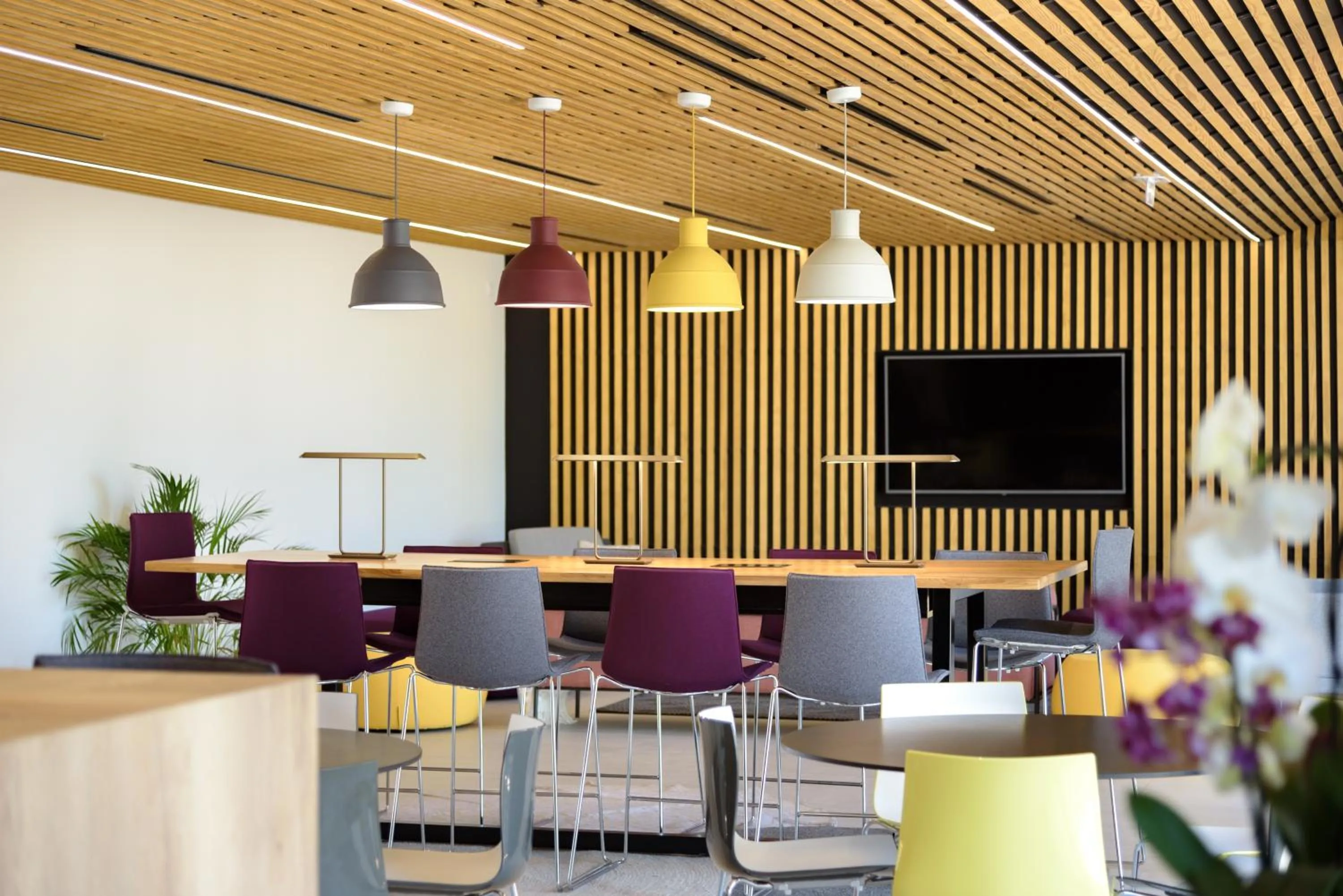 Communal lounge/ TV room in Sweetly Alexandrin Toulouse