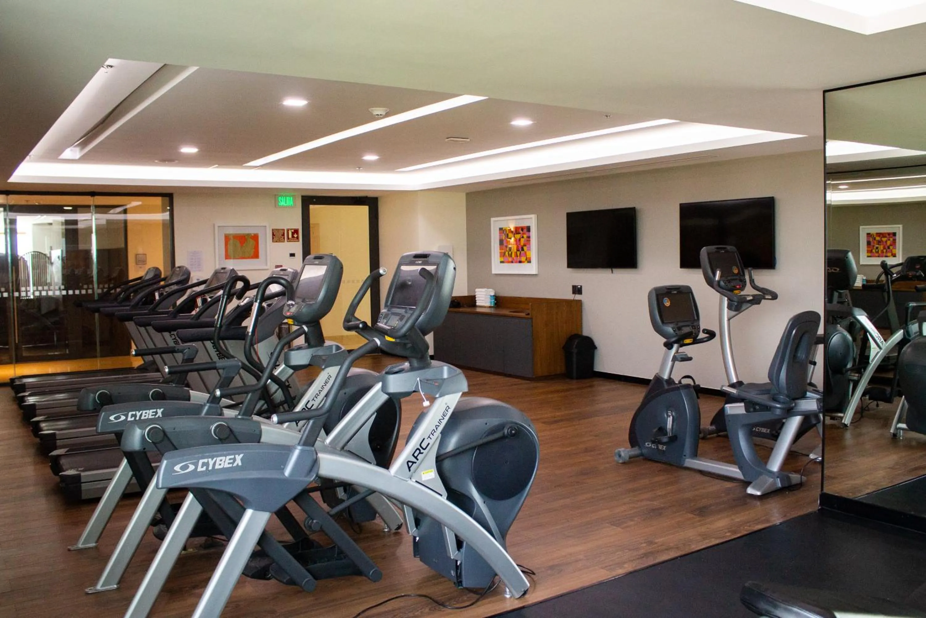 Fitness centre/facilities in Holiday Inn & Suites - Puerto Vallarta Marina & Golf by IHG