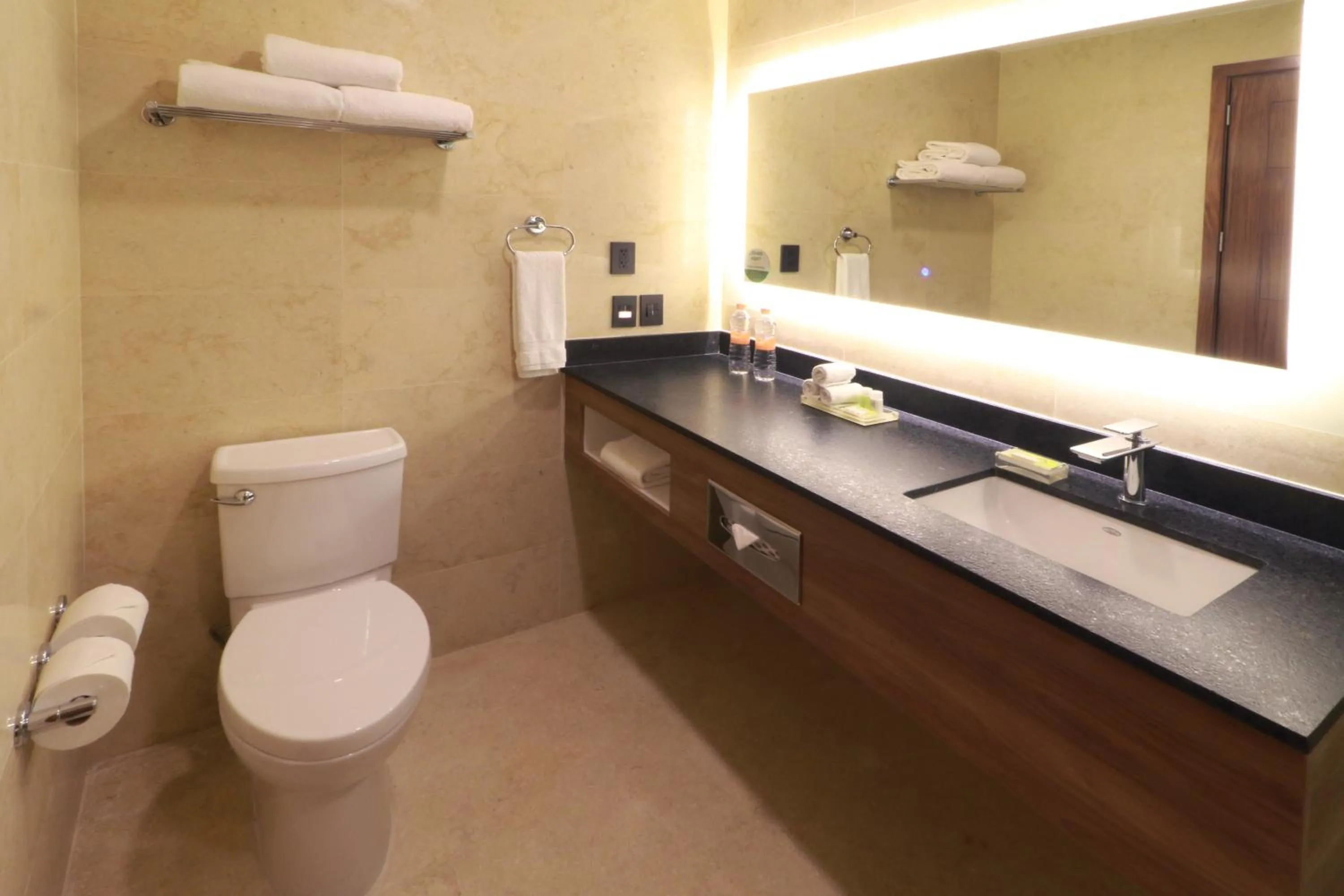 Bathroom in Holiday Inn & Suites - Puerto Vallarta Marina & Golf by IHG