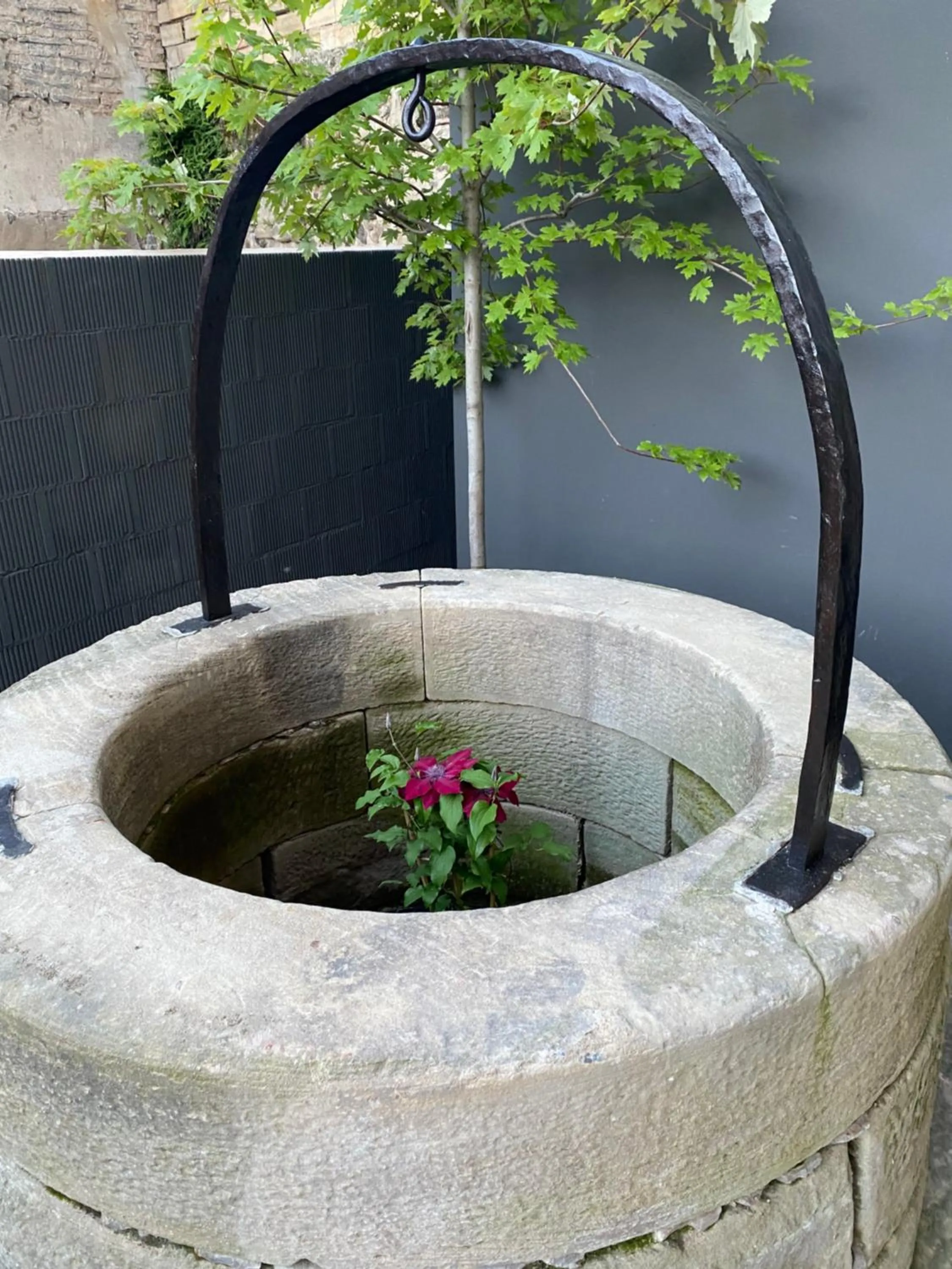 Garden in Casa Grande Hotel