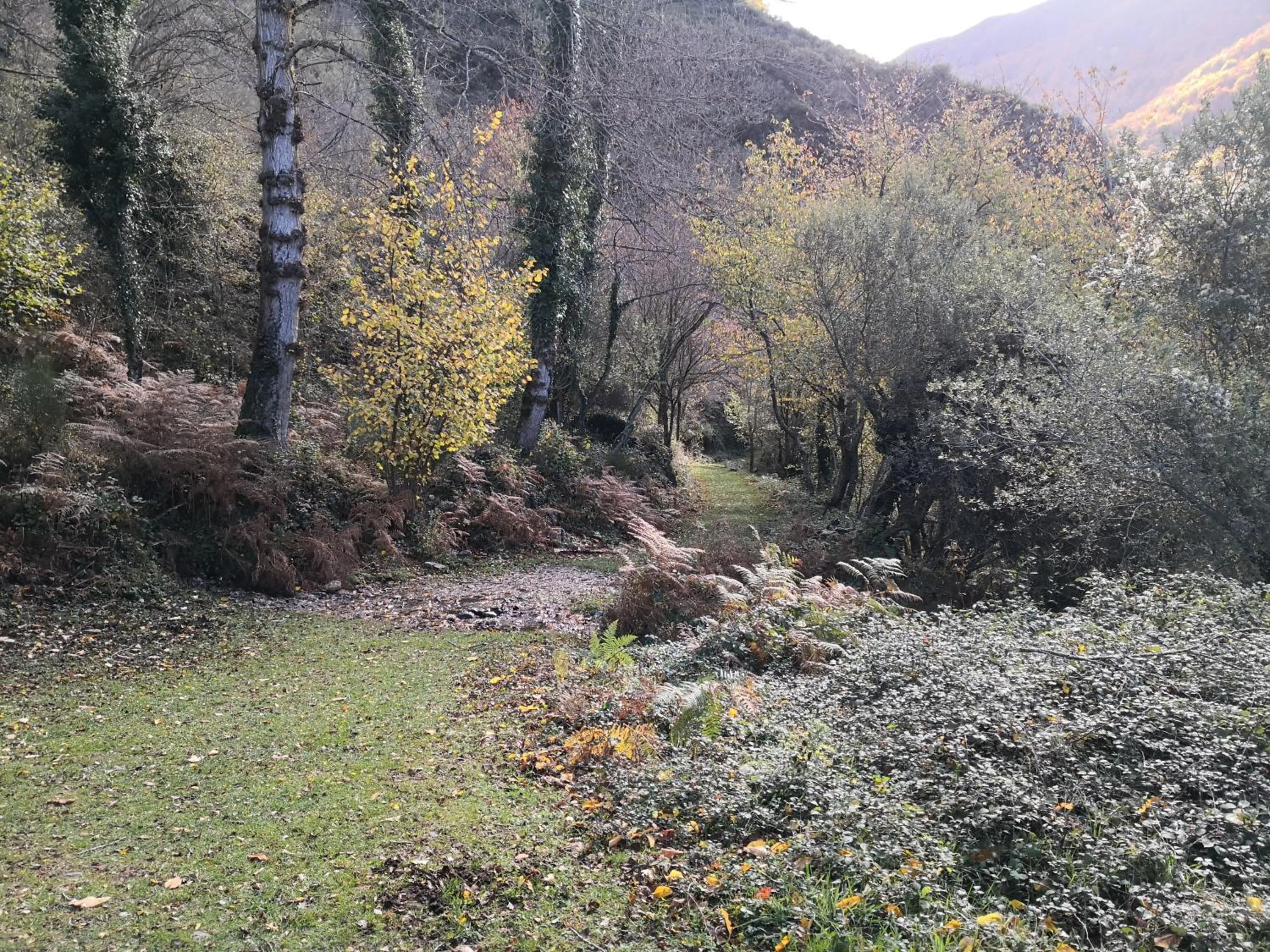 Day in Casa Grande Hotel