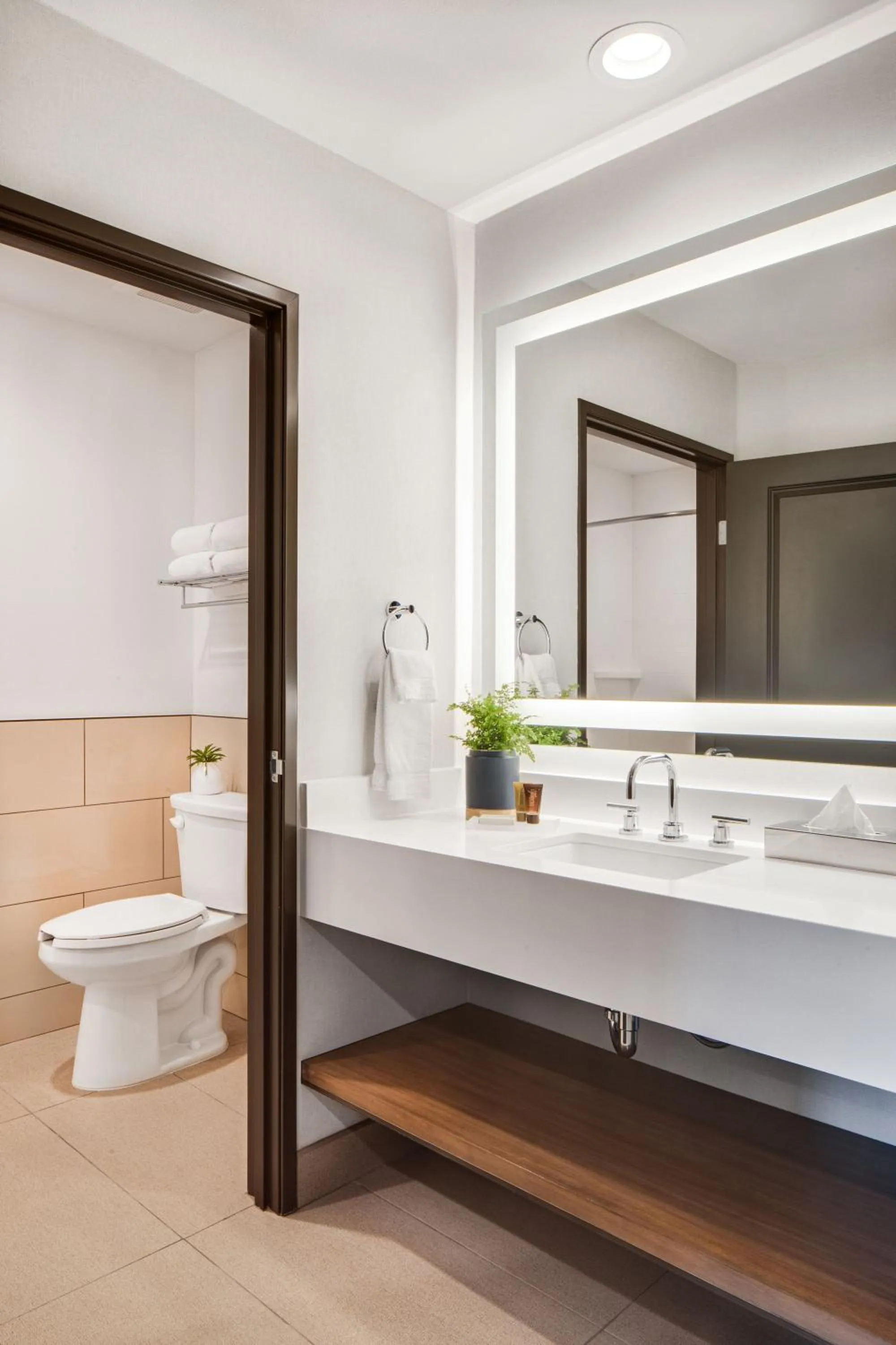 Toilet in Ayres Hotel Vista Carlsbad