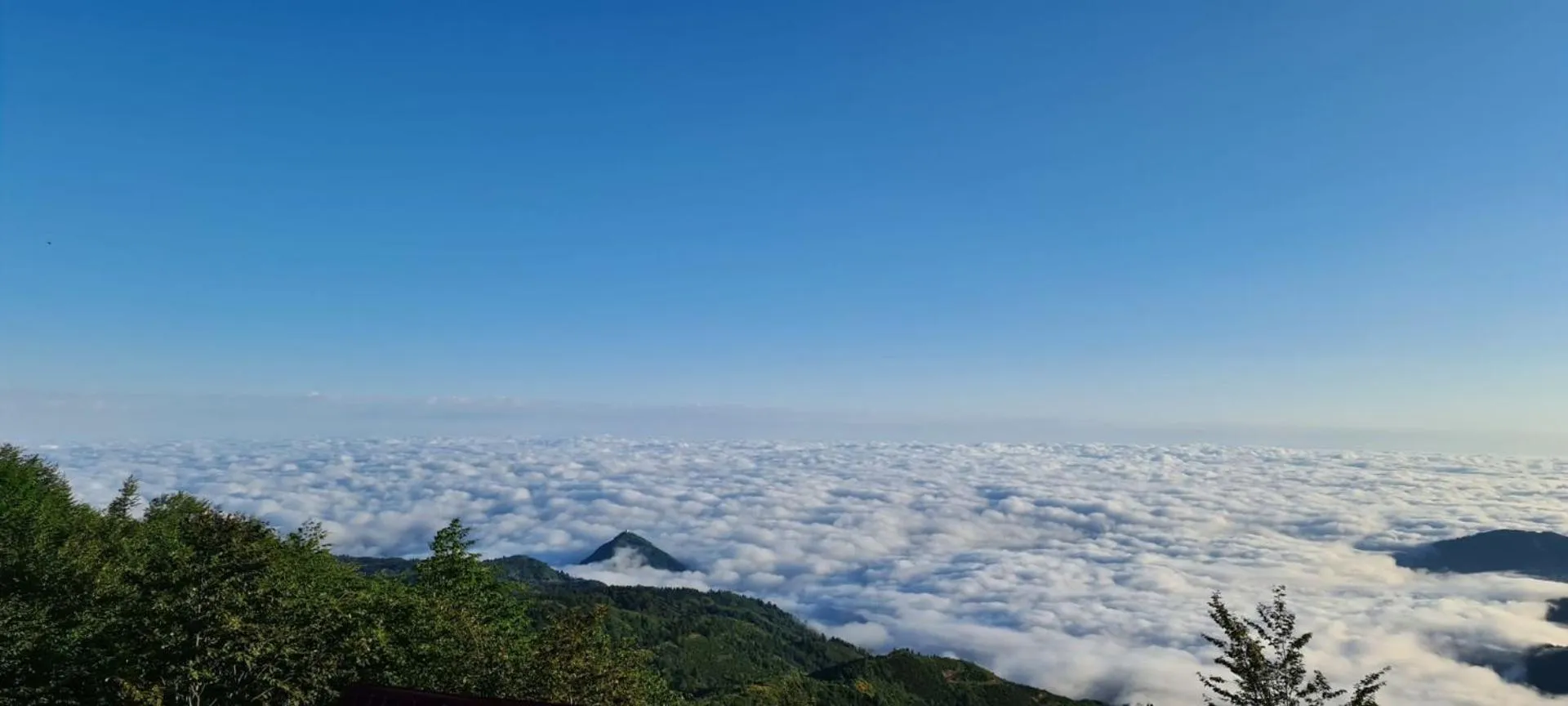 Flora Handüzü Resort & Wellness Bungalow Hotel