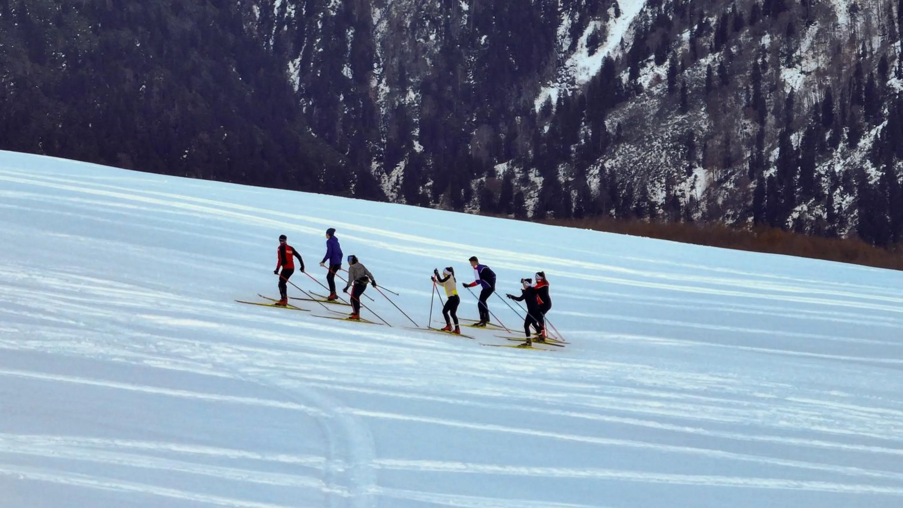 Flora Handüzü Resort & Wellness Bungalow Hotel