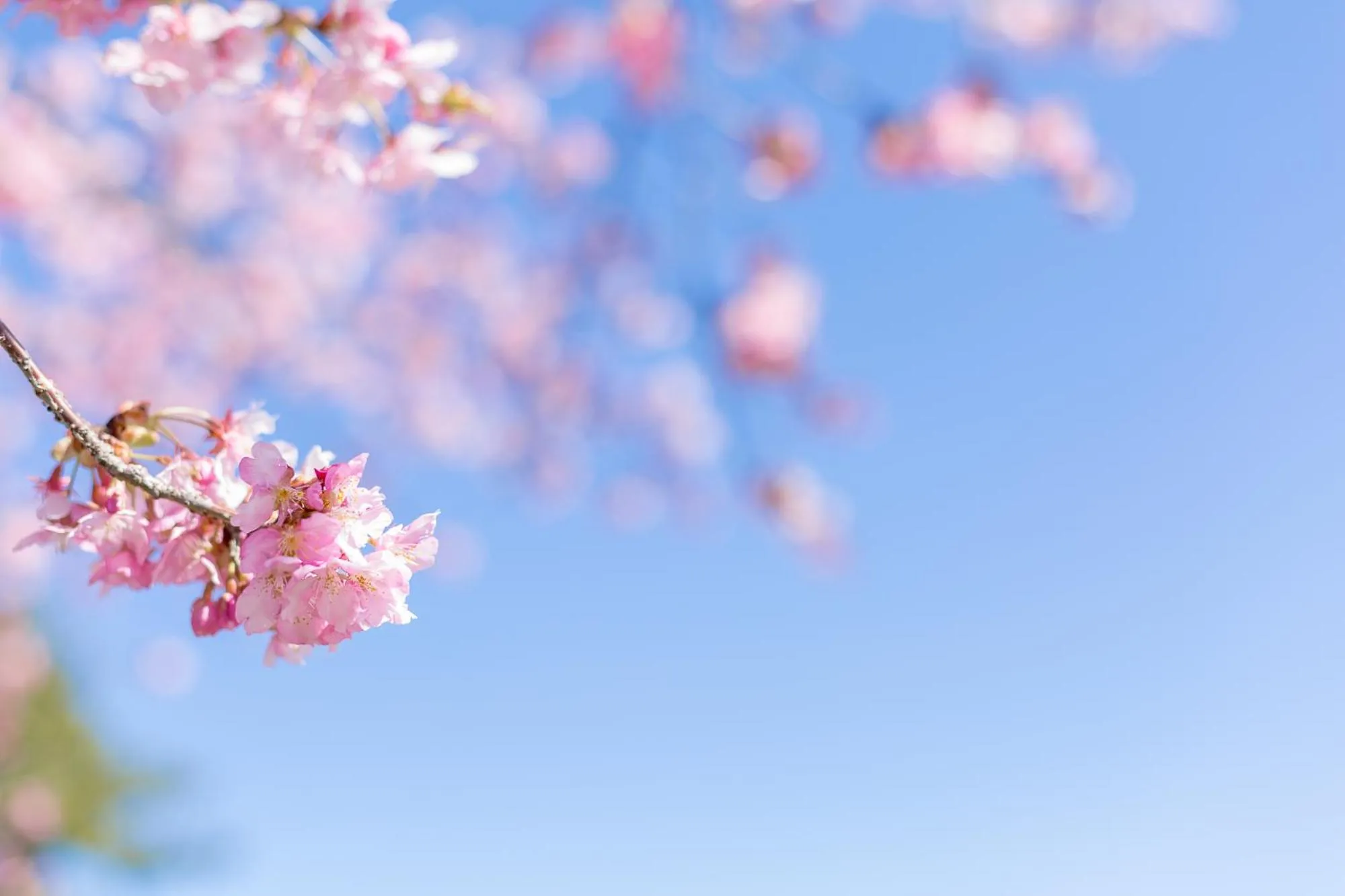 Nearby landmark in Tabist Raika Hiroshima Miyoshi