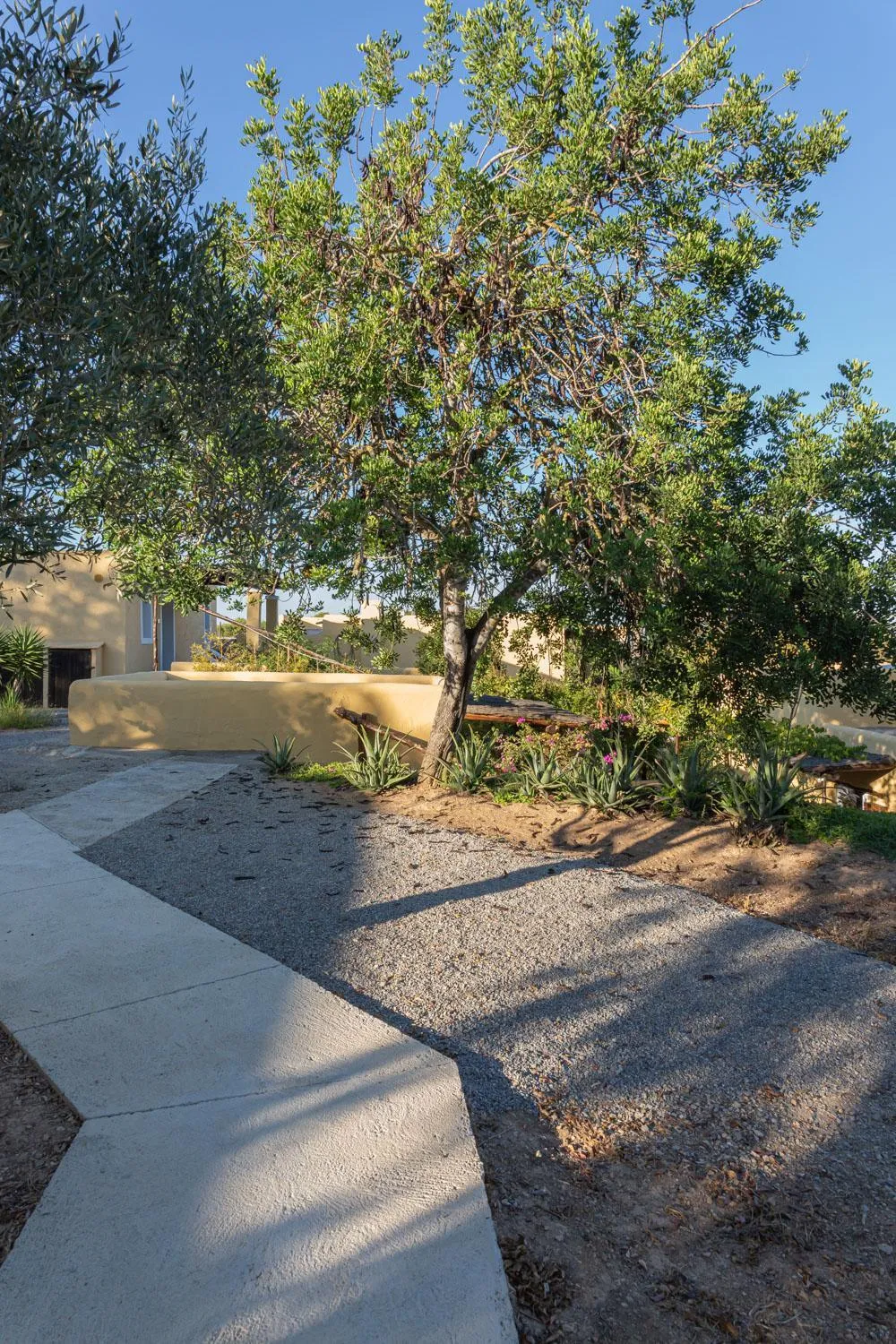 Garden in LAS MARIPOSAS