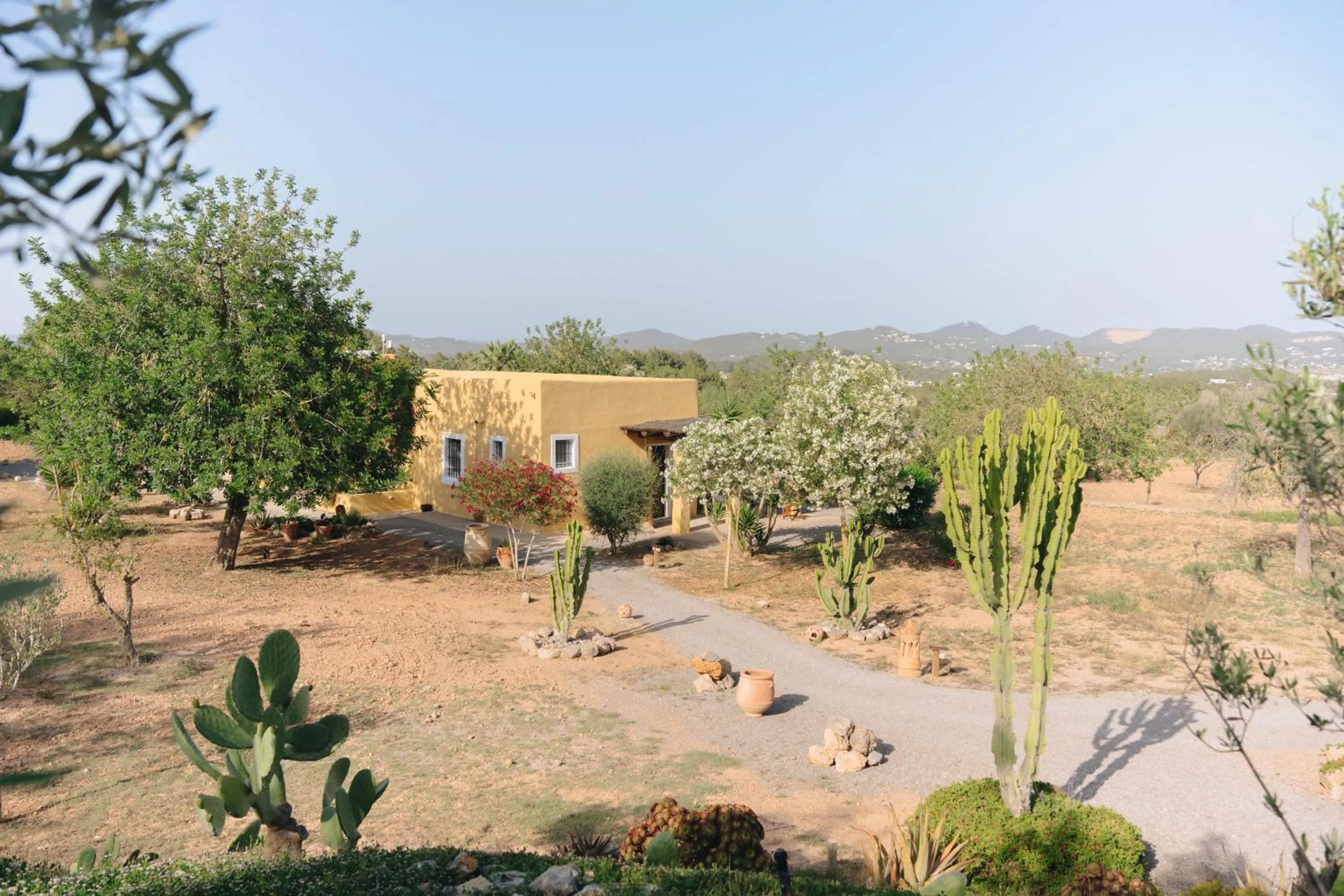 Garden view in LAS MARIPOSAS