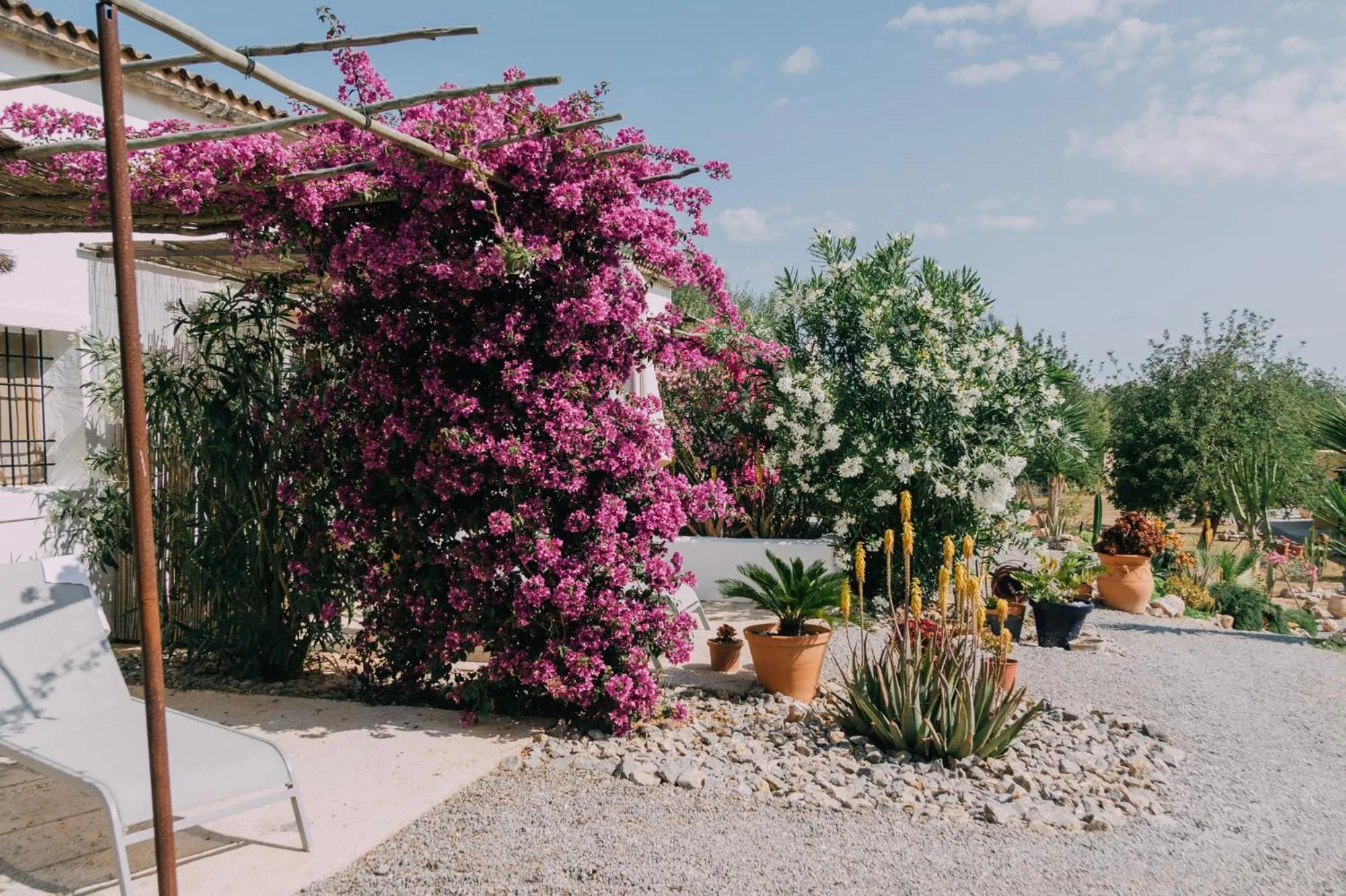 Balcony/Terrace in LAS MARIPOSAS