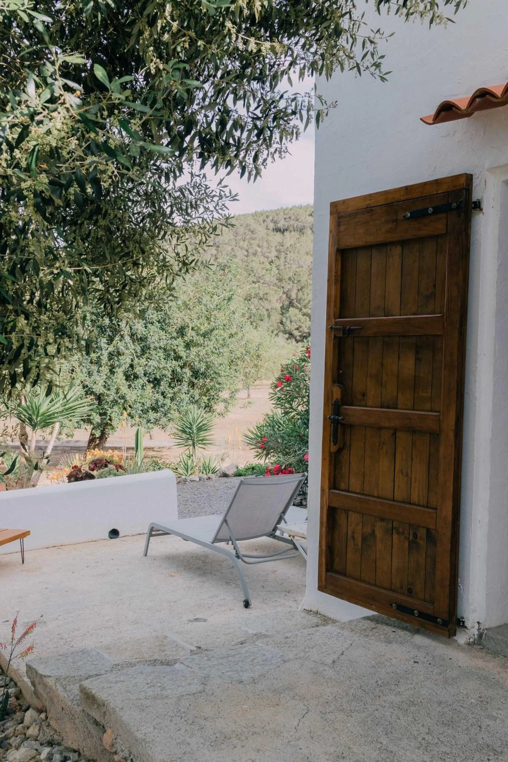 Property building in LAS MARIPOSAS