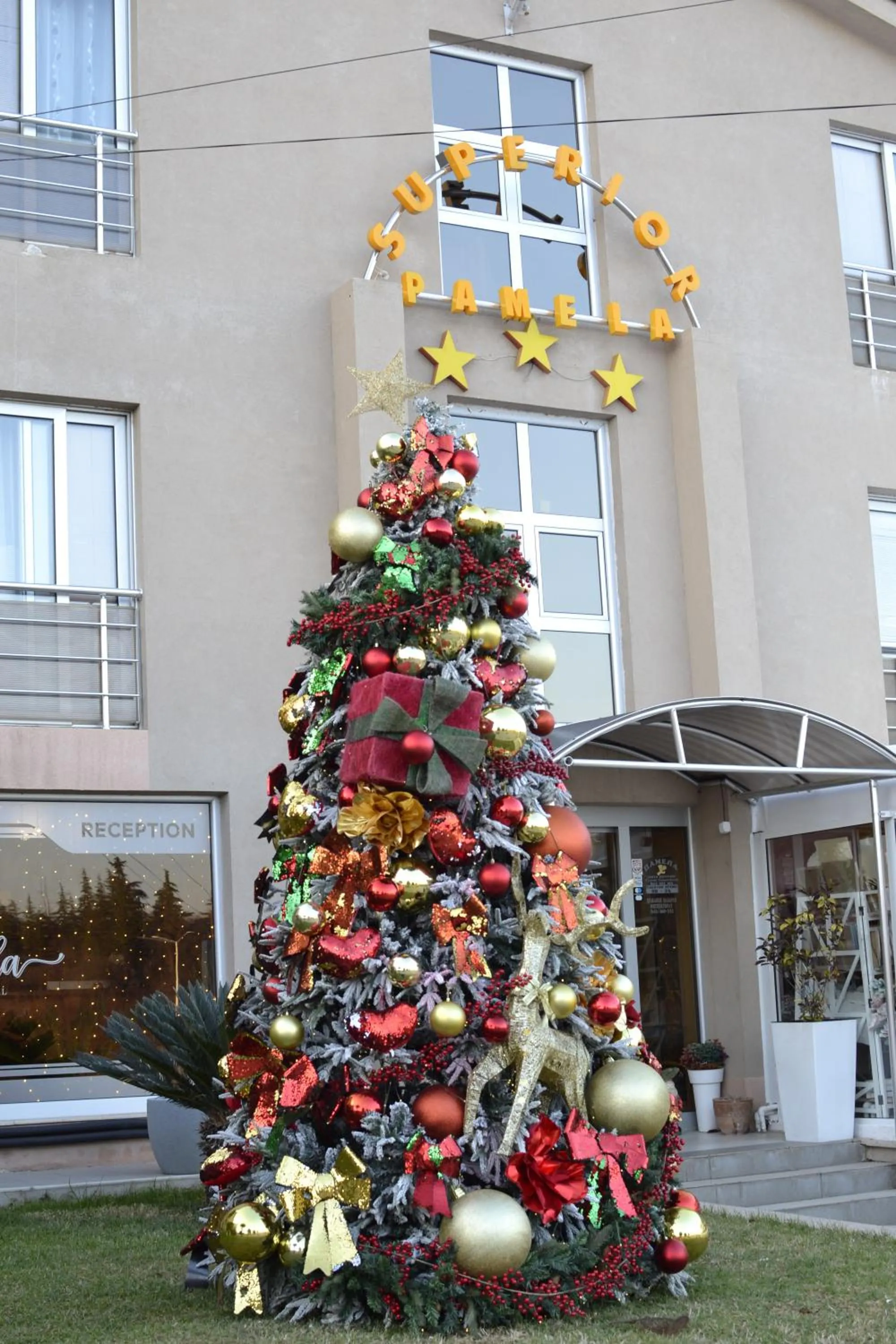 Property building in Hotel Pamela Concept