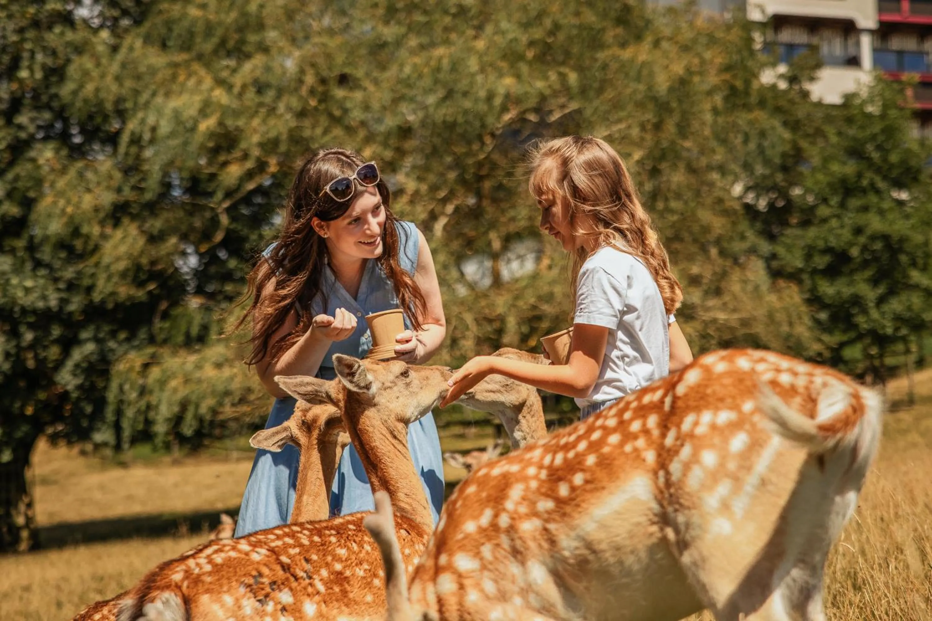 Animals in Natur- und Wohlfühlhotel Kastenholz