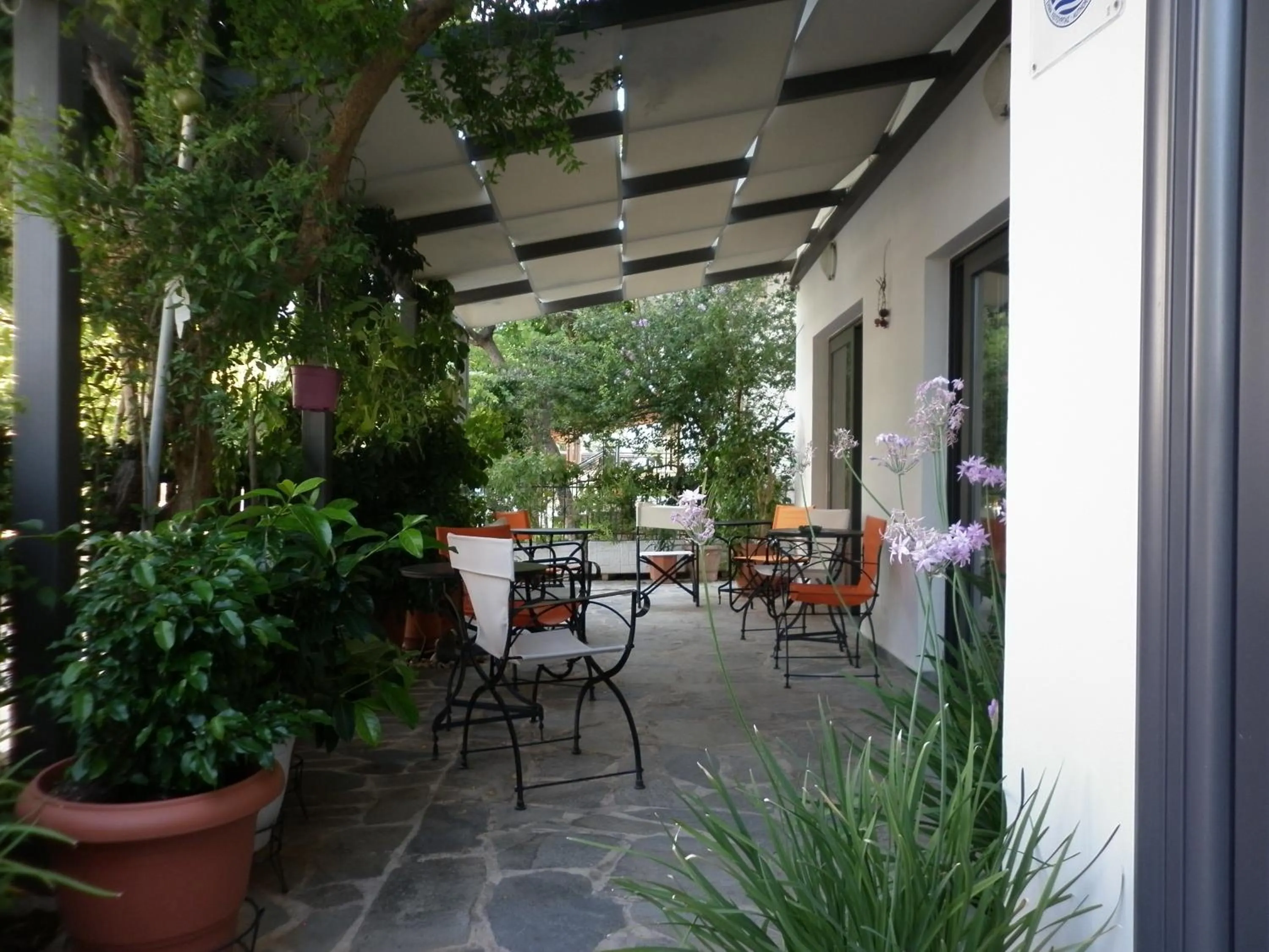 Balcony/Terrace in Hotel Ritsa