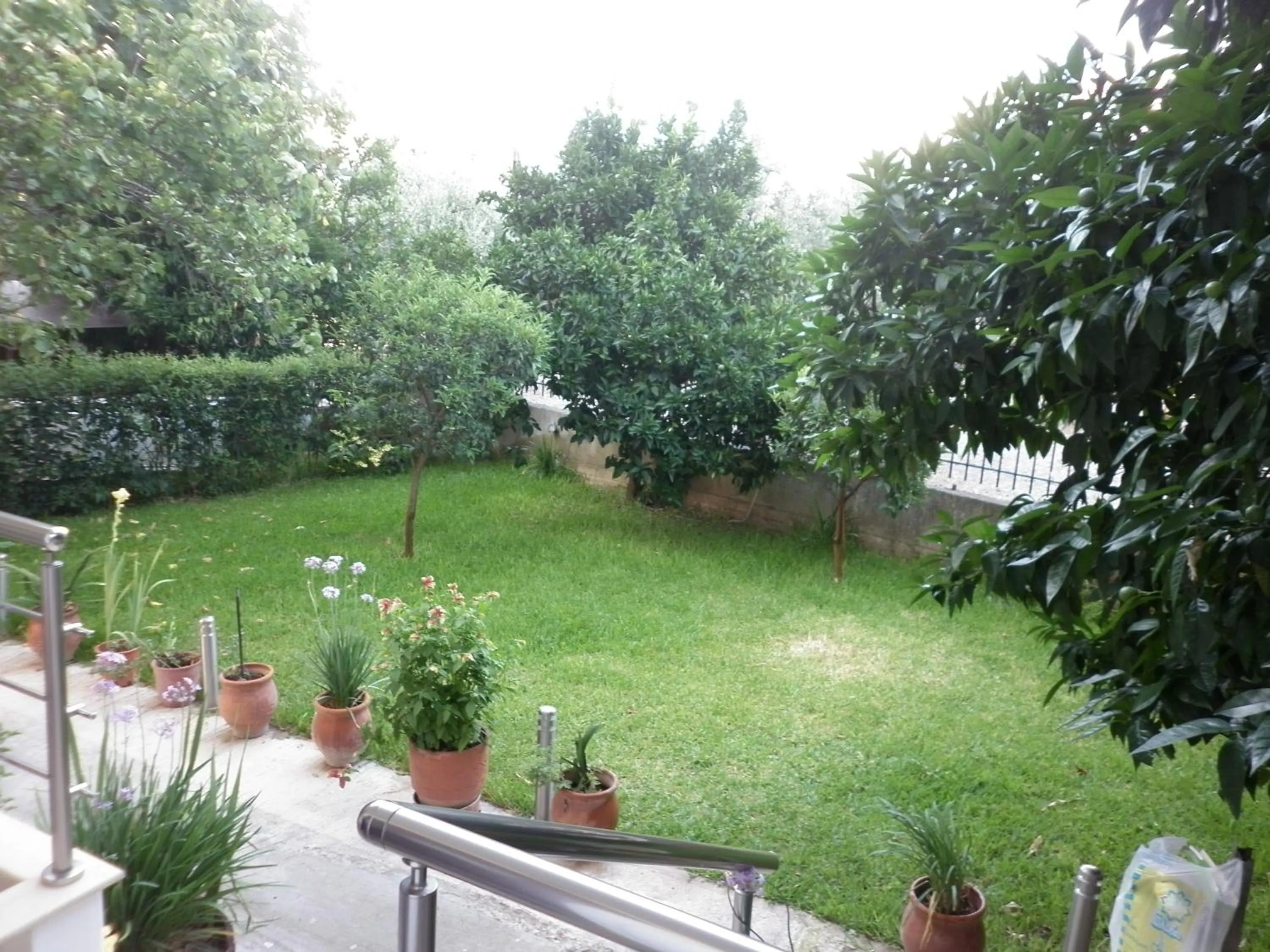 Garden in Hotel Ritsa