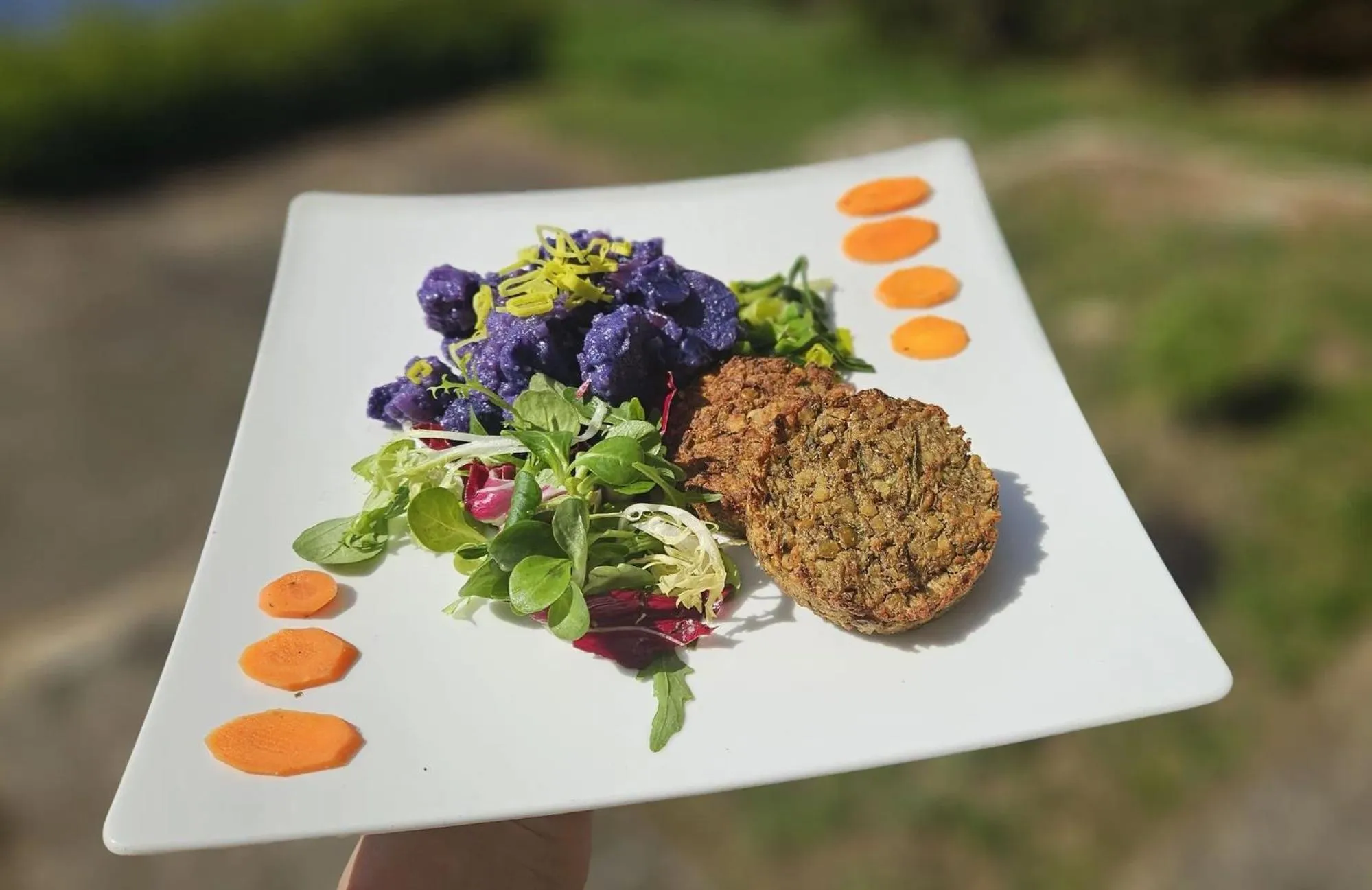 Food and drinks in Hotel Chytrov