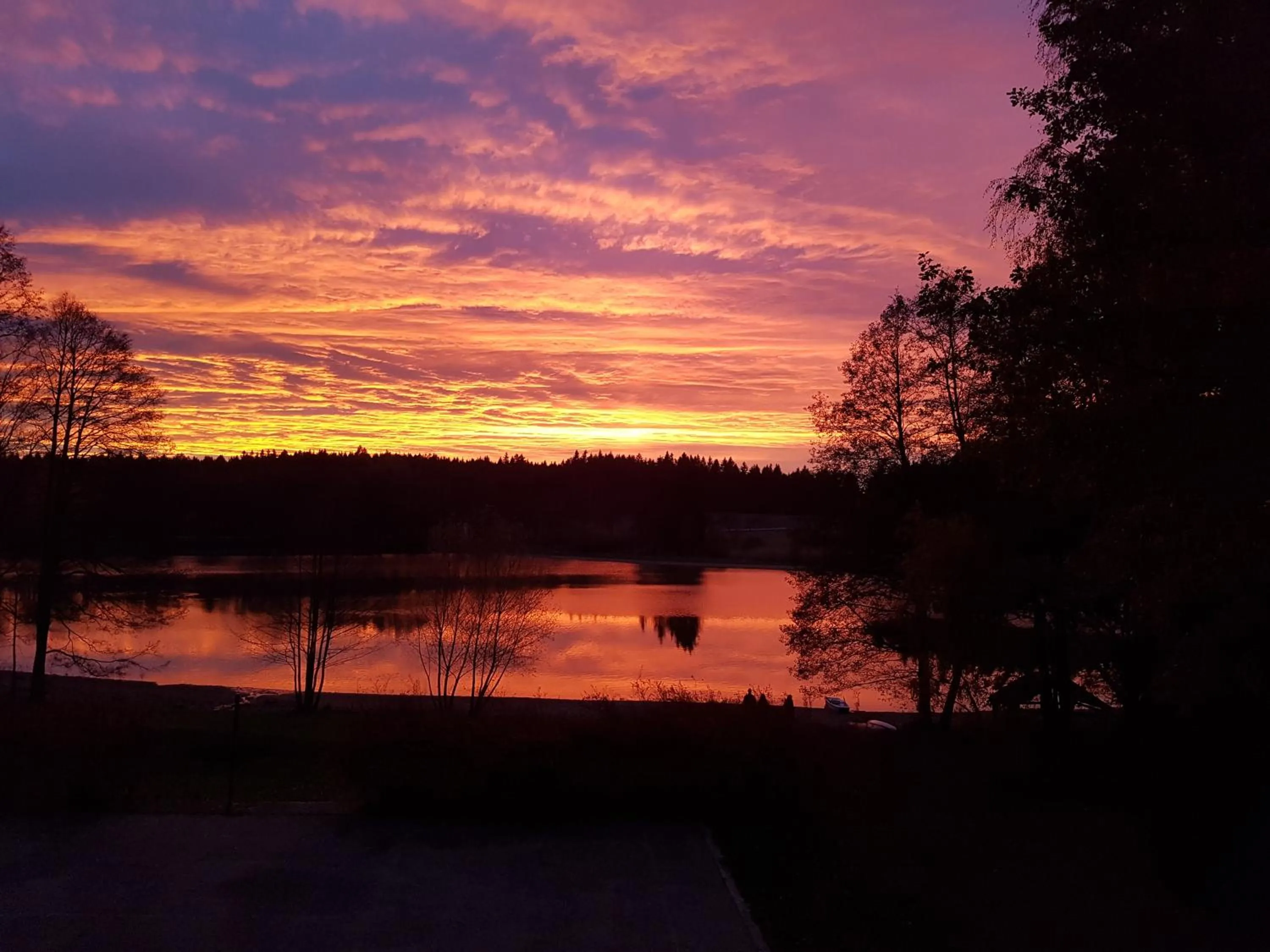 Natural landscape in Hotel Chytrov