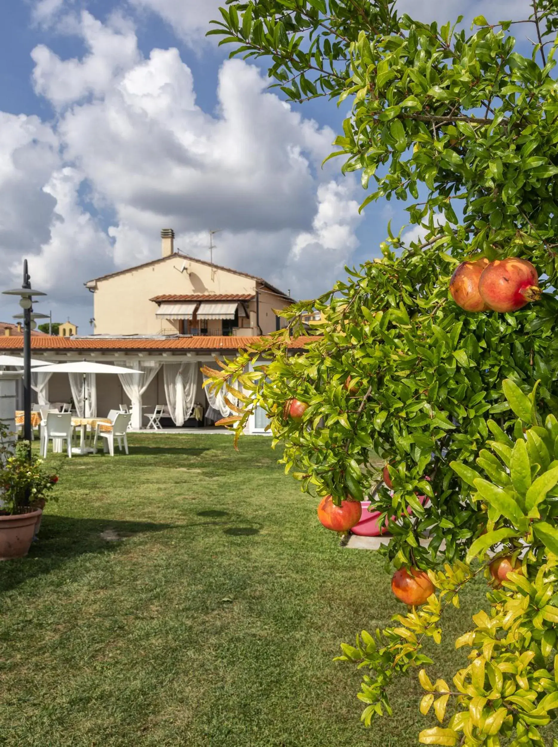 Colorado Home Colorado Home