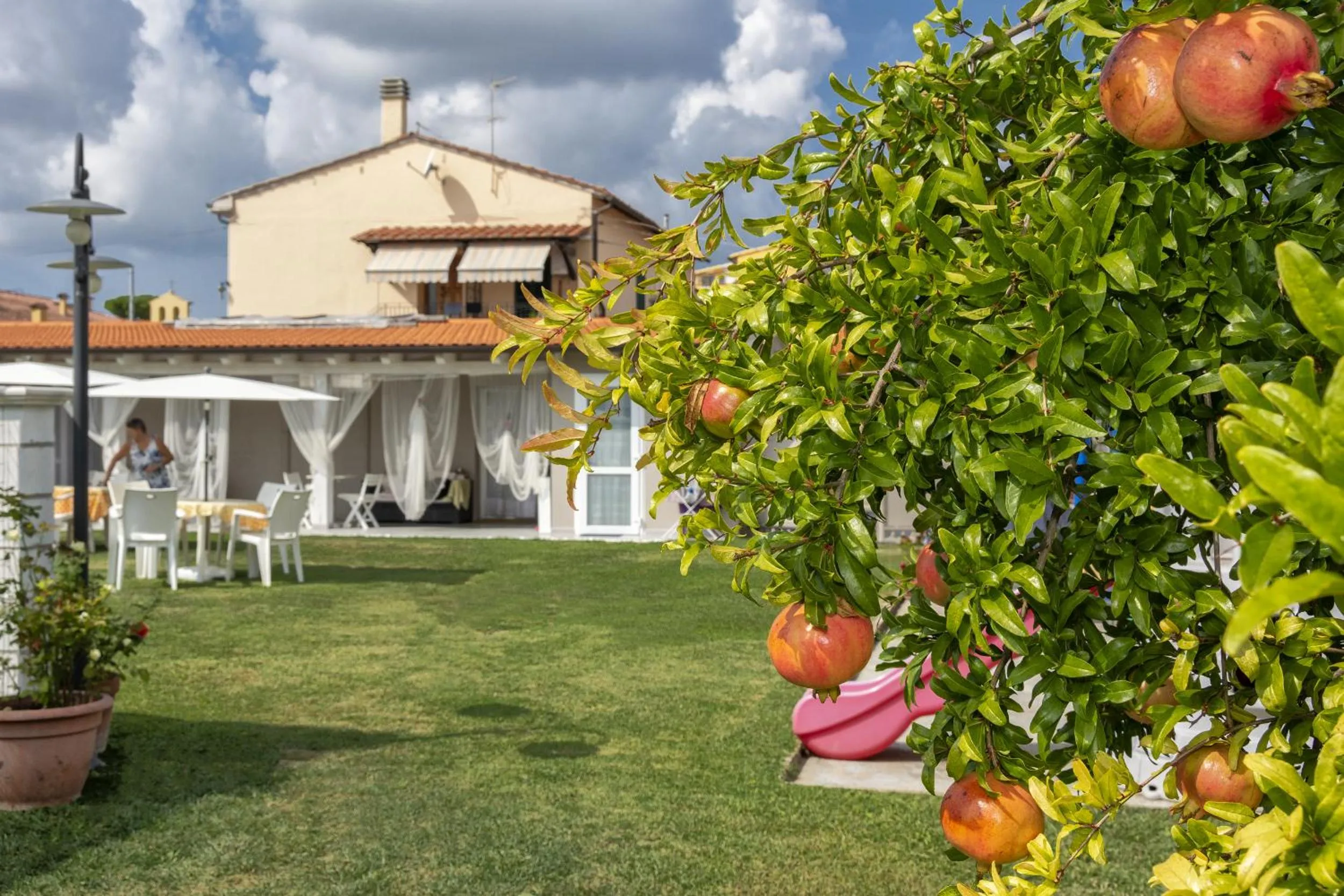 Garden in Colorado Home