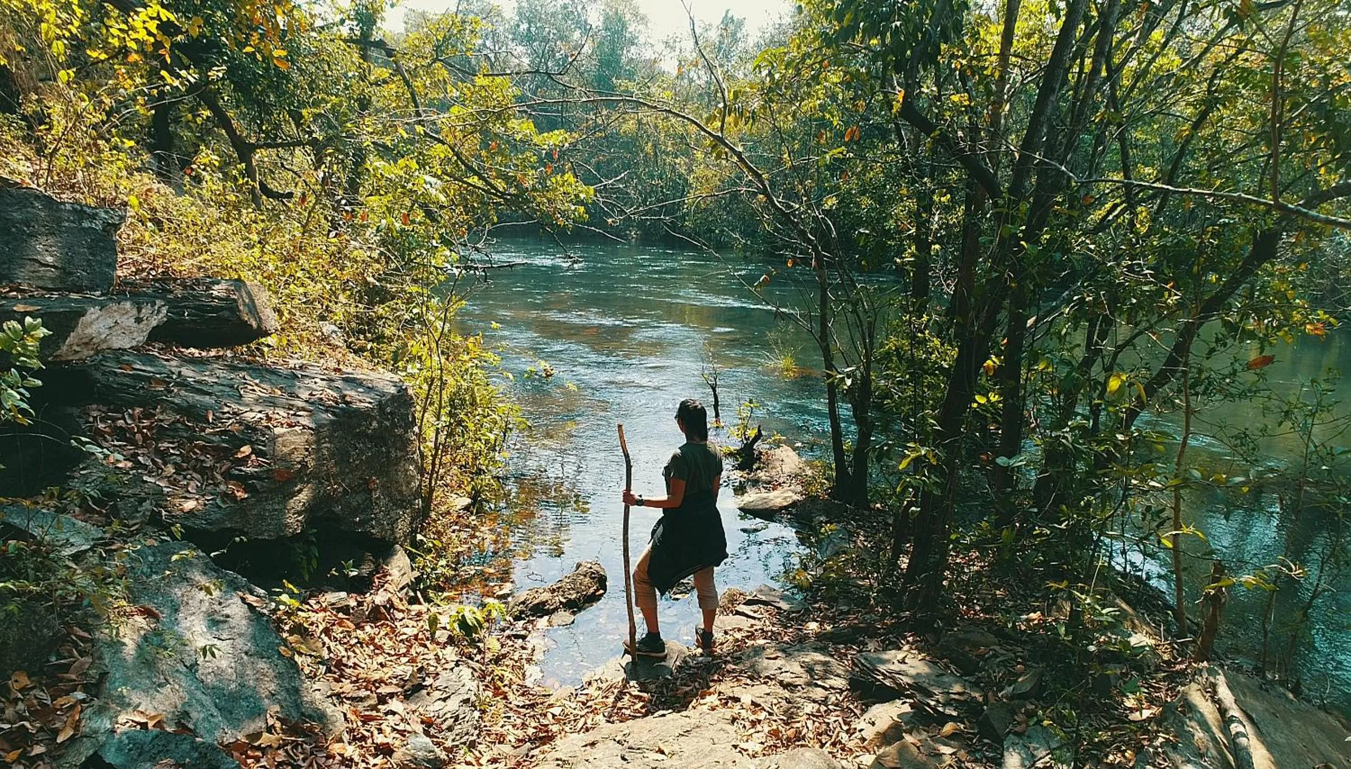 Natural landscape in Whistling Woodzs Resort