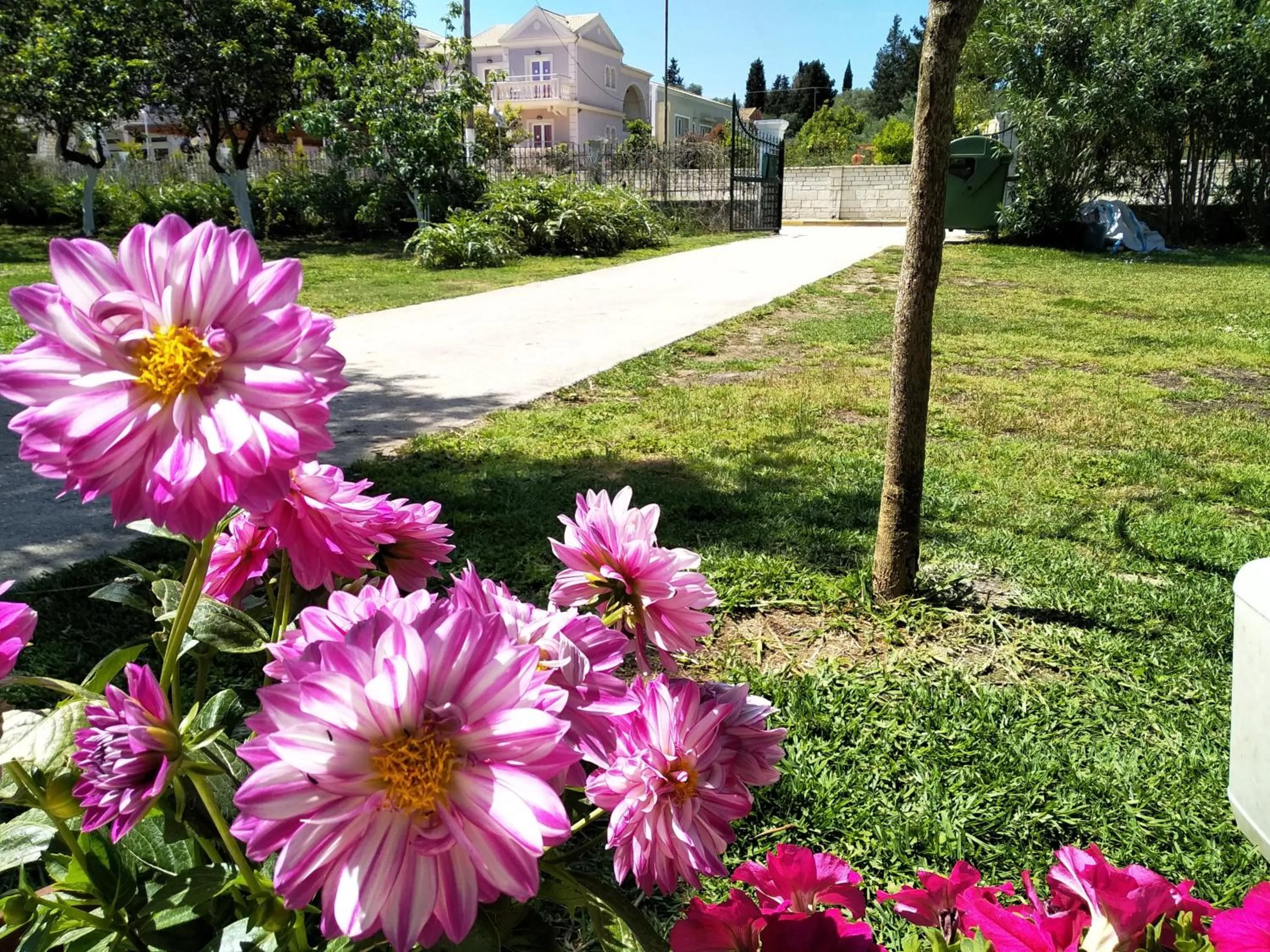 Garden in Ever Green