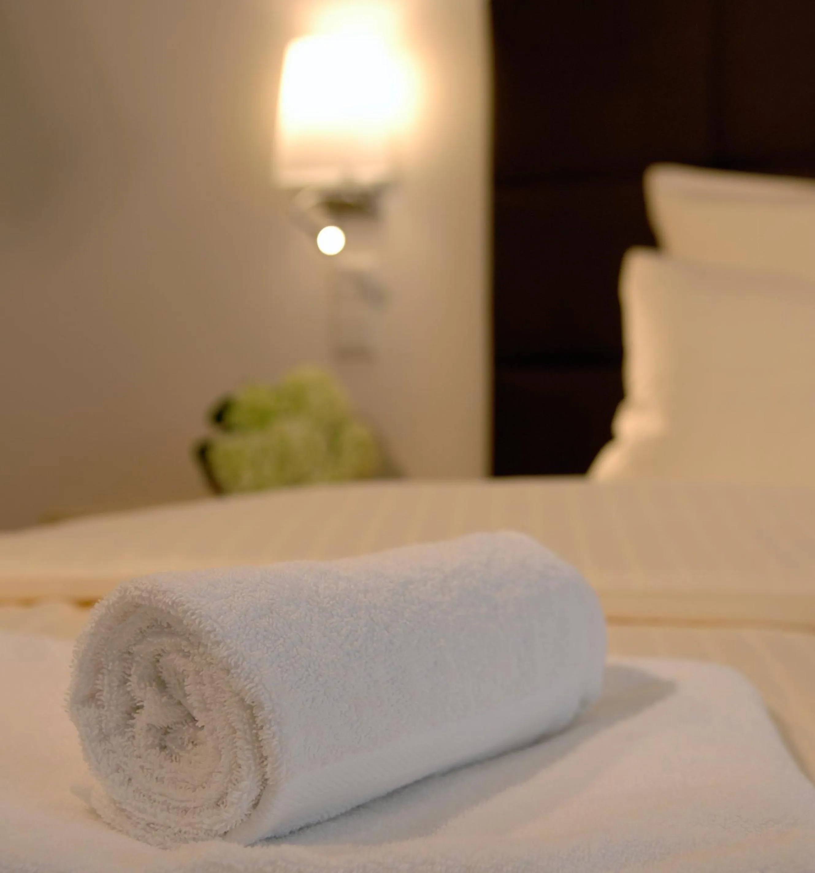 Decorative detail, Bed in Hotel-Restaurant Sebastianushof