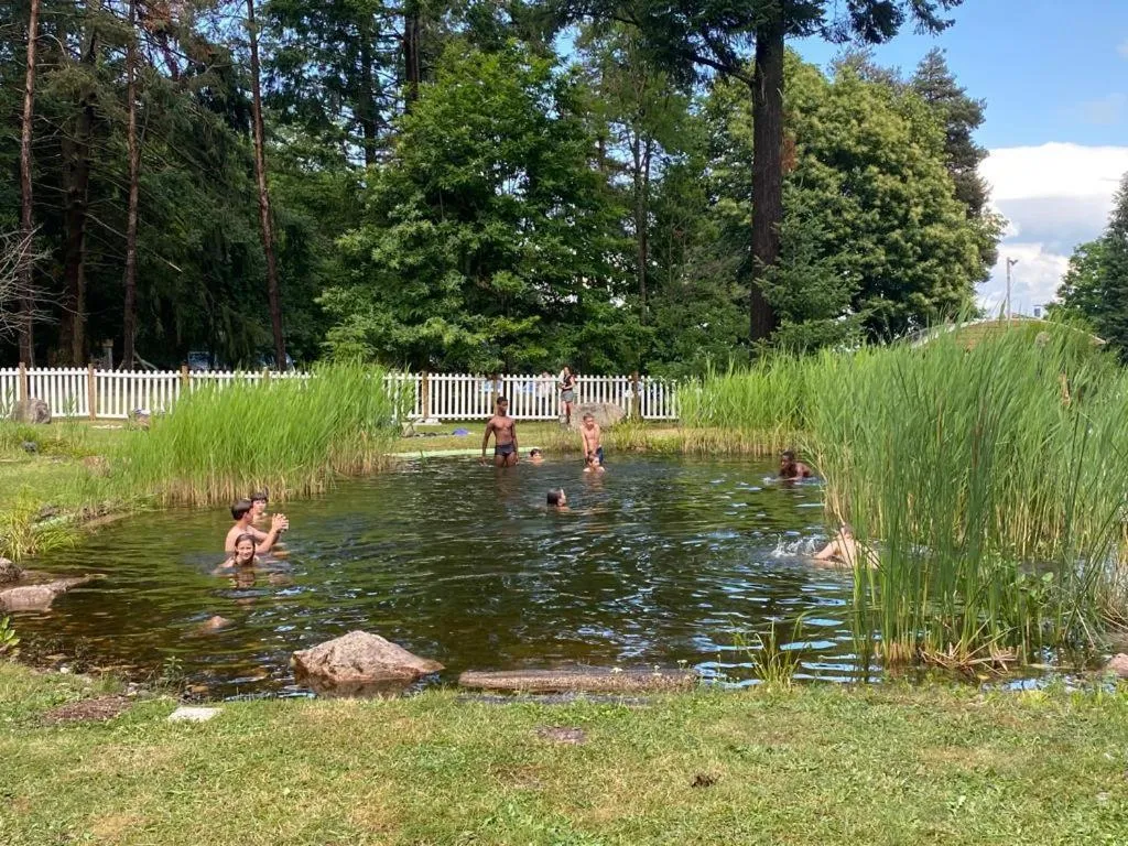 Swimming pool in Du côté de chez Sam