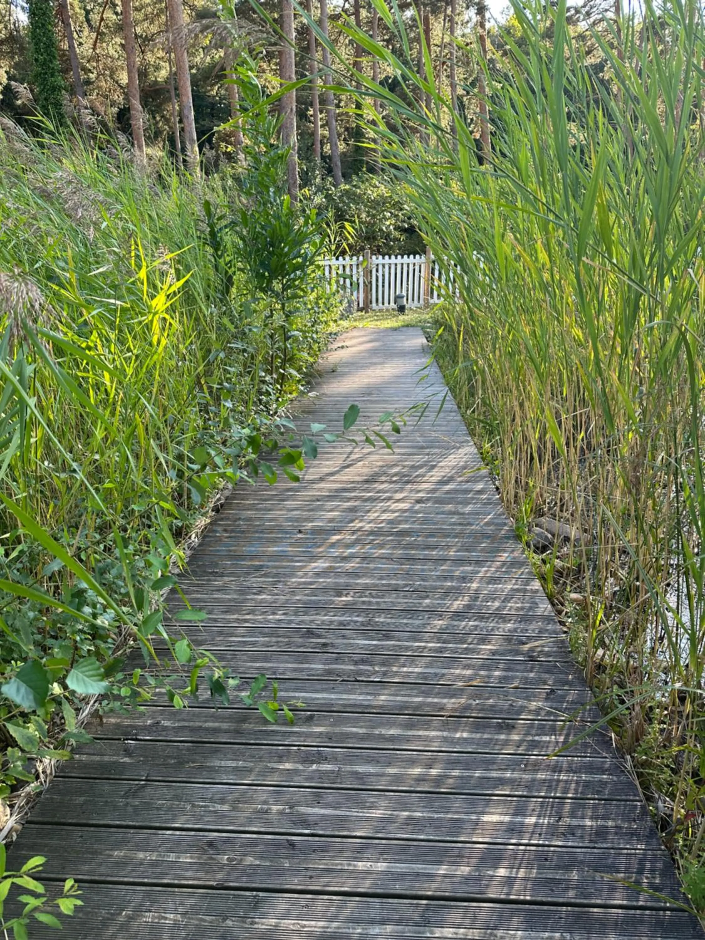 Swimming pool in Du côté de chez Sam
