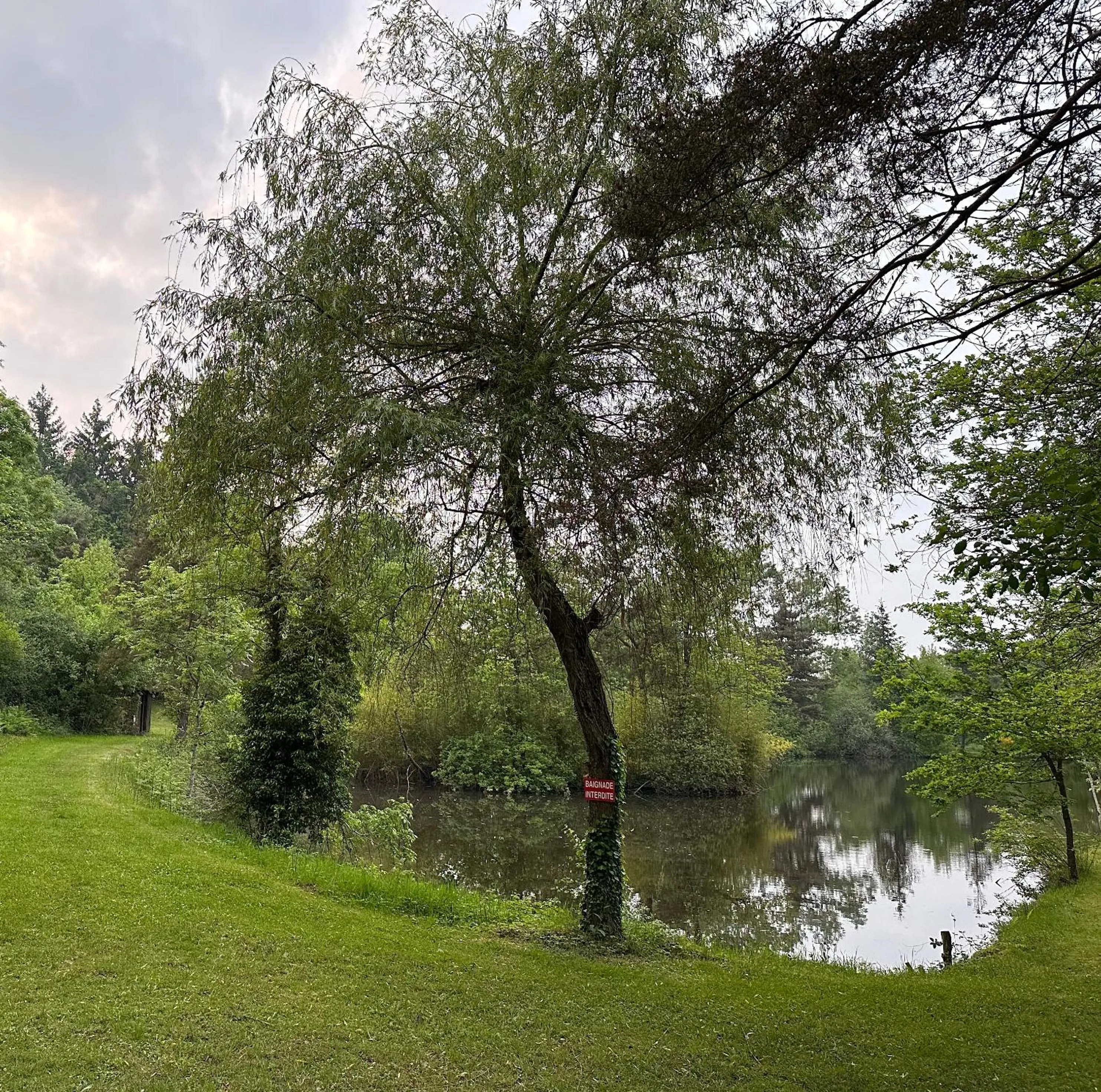 Fishing in Du côté de chez Sam