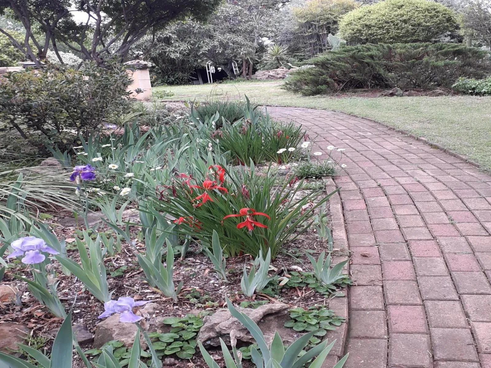 Garden in AANDRUS BNB