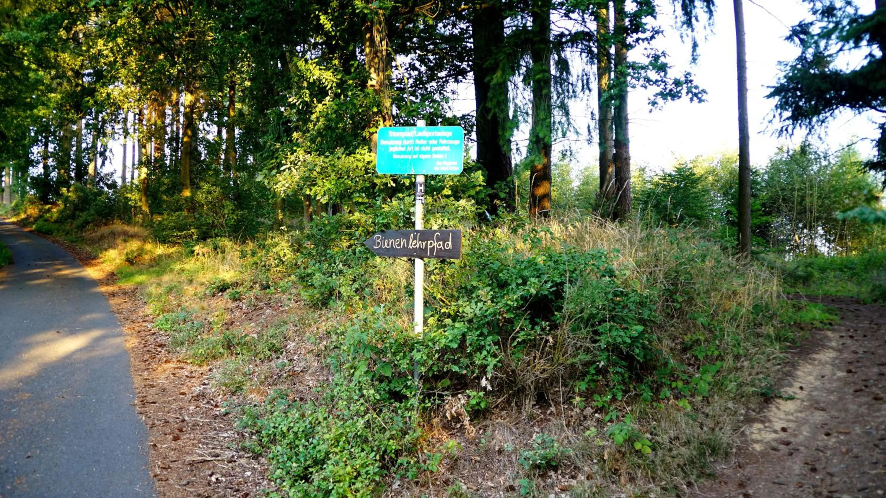 Hiking in Hotel Tannenhof Haiger