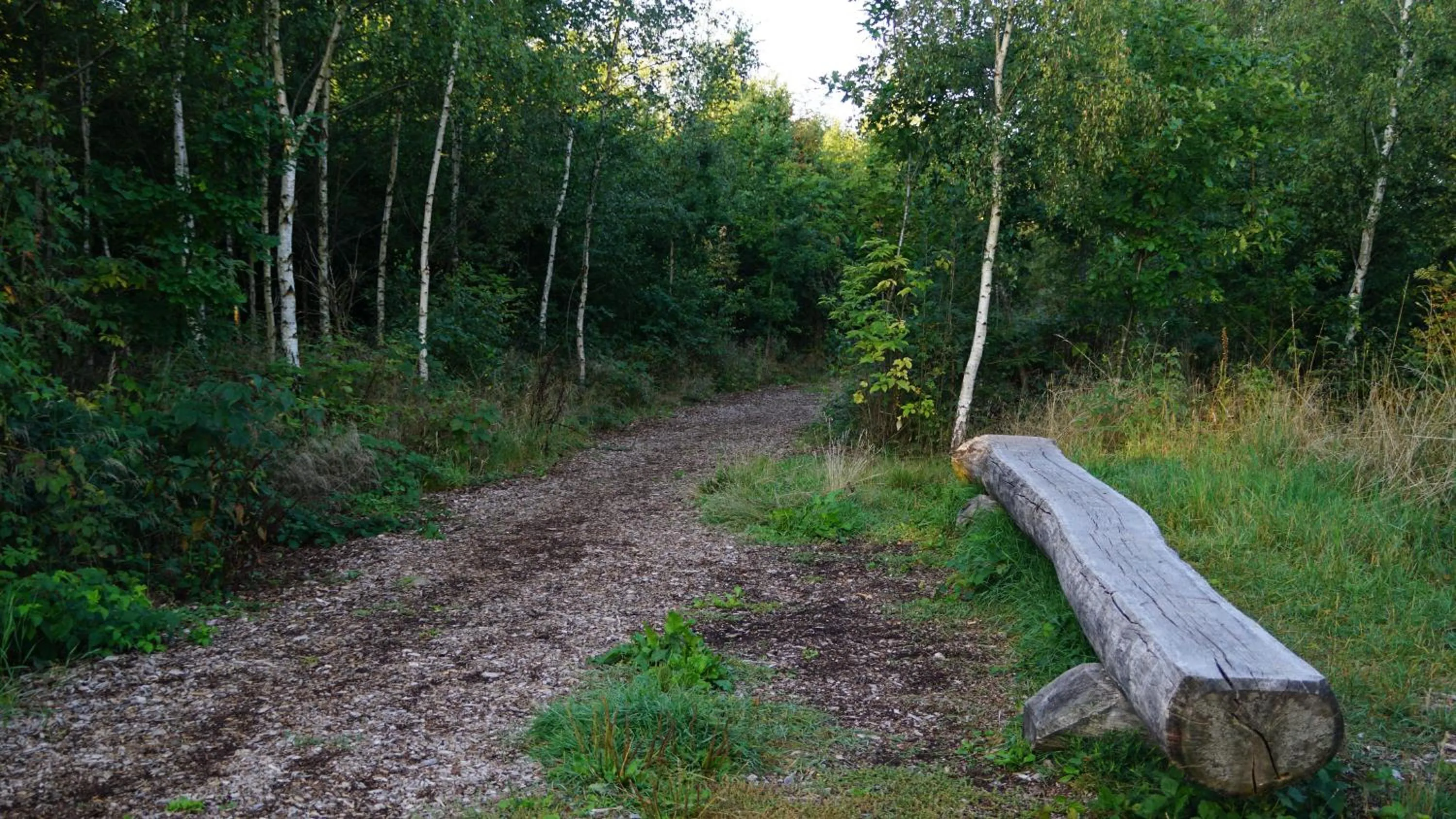 Hiking in Hotel Tannenhof Haiger