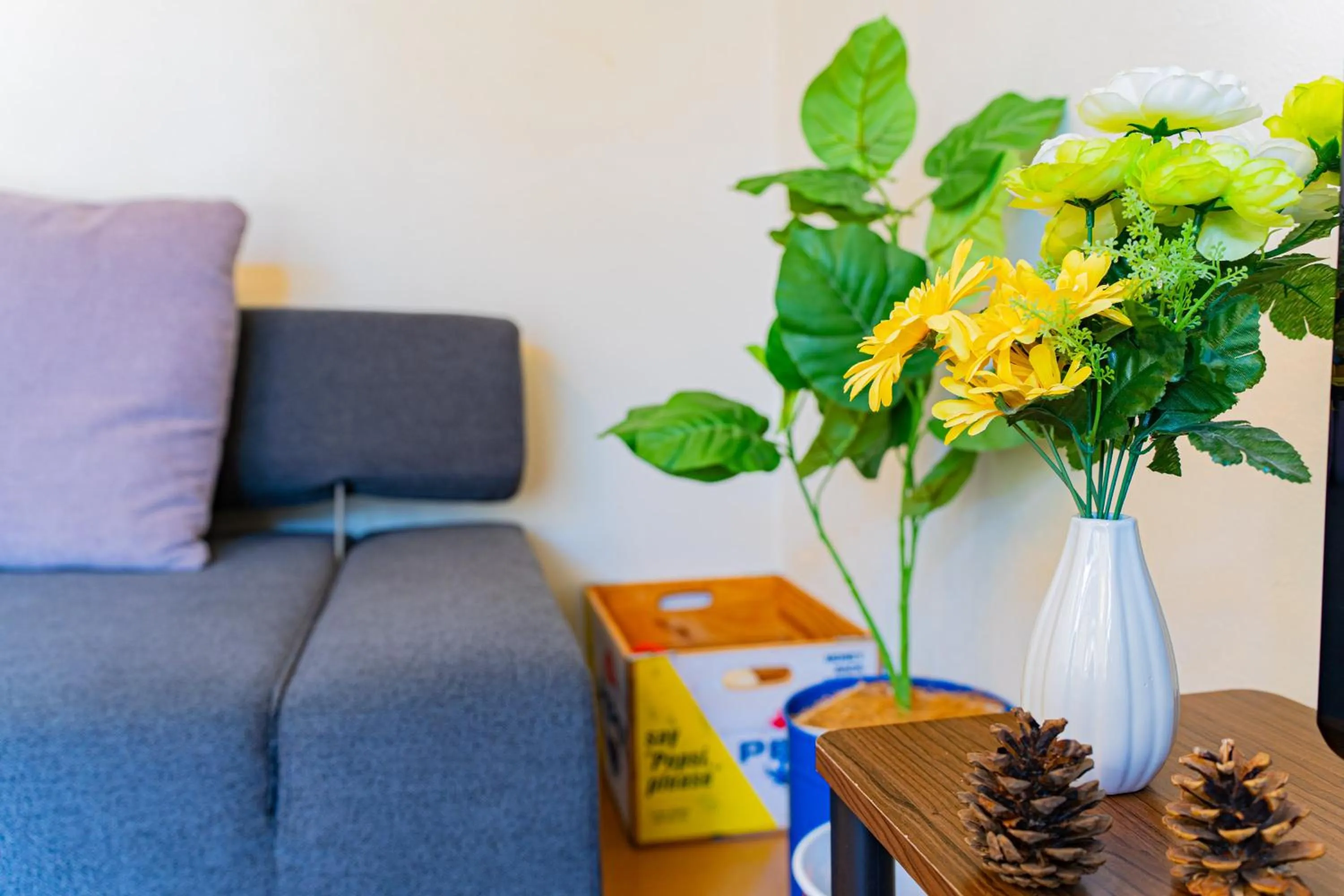 Living room in Extreme