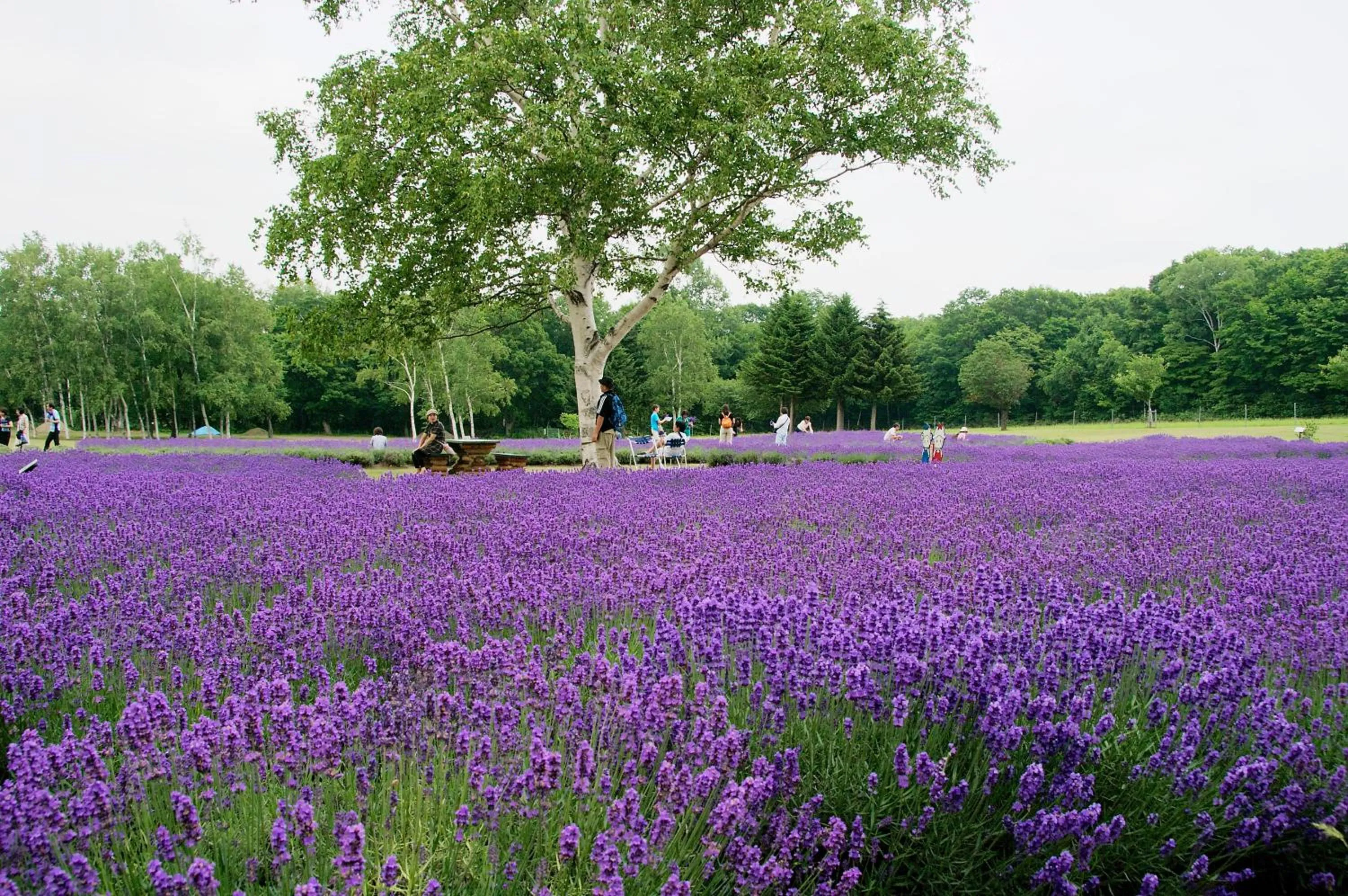 Nearby landmark in Extreme