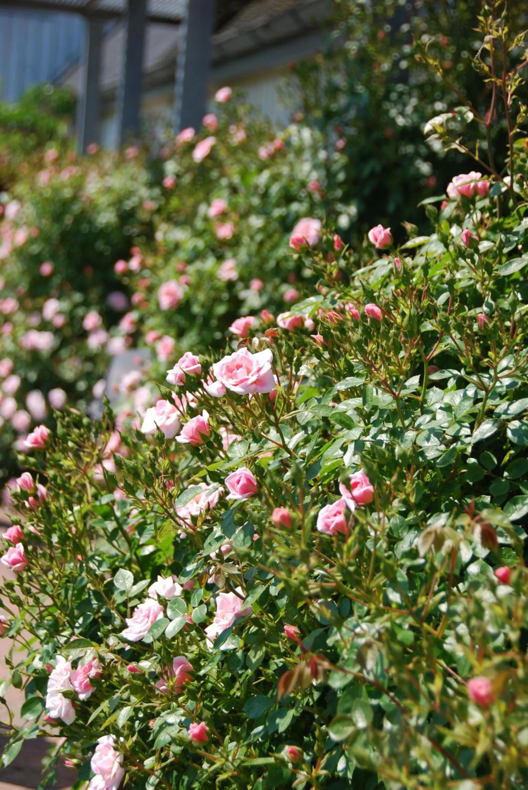 Quistgaarden Bed & Breakfast