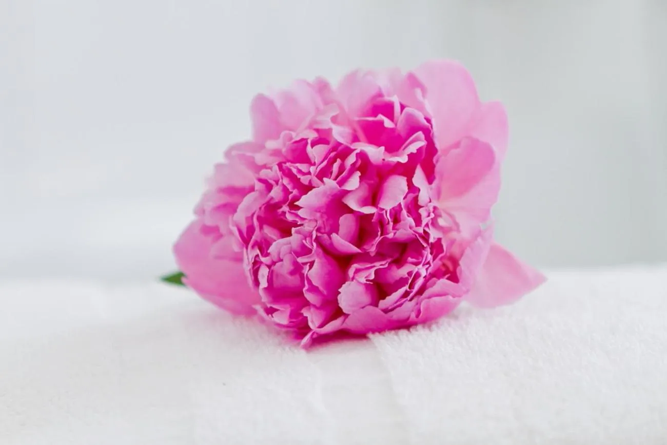 Bedroom in Hotel zum Goldenen Löwen