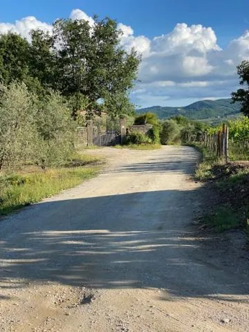 Property building in La Magnolia